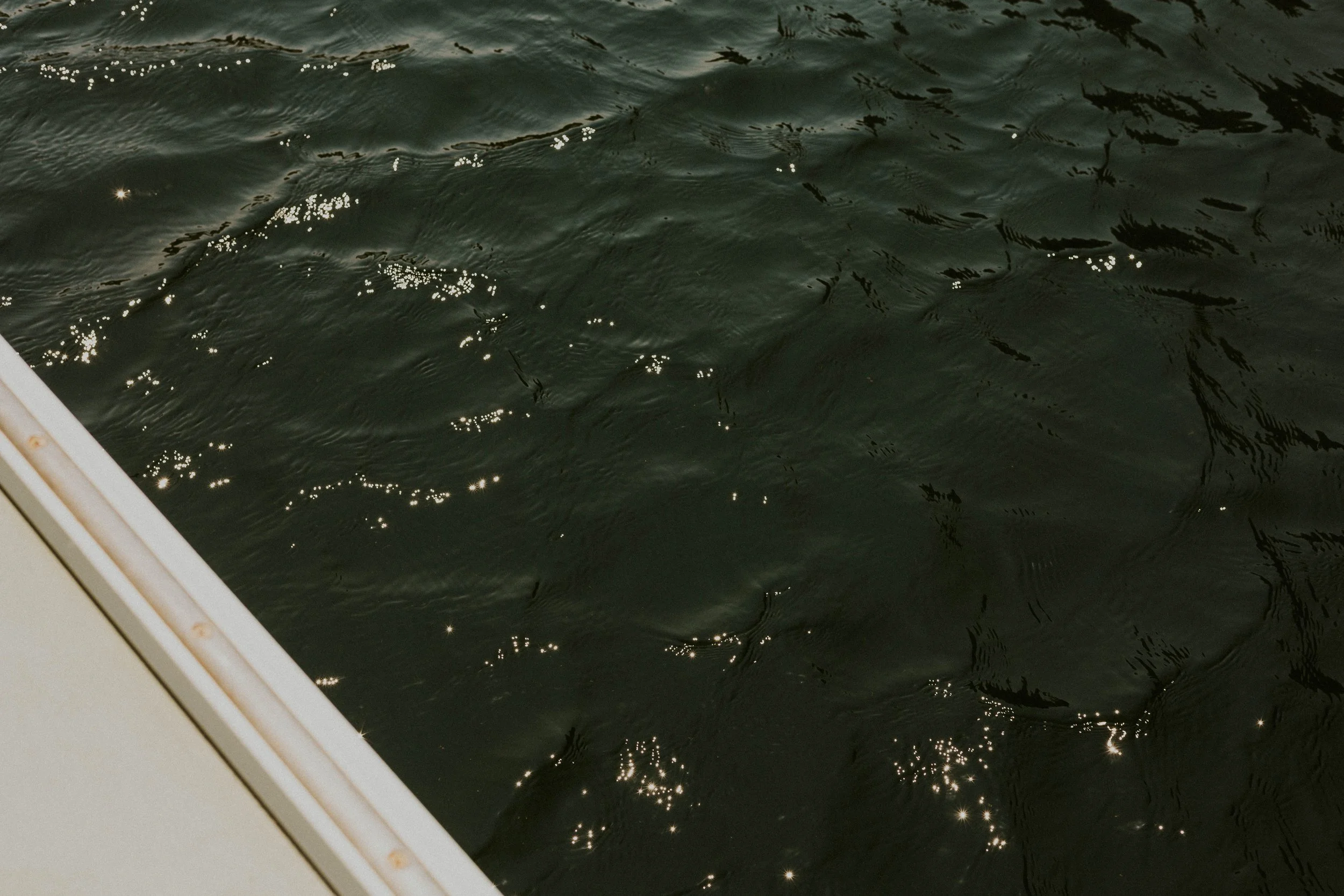 Maine's ocean detail shot