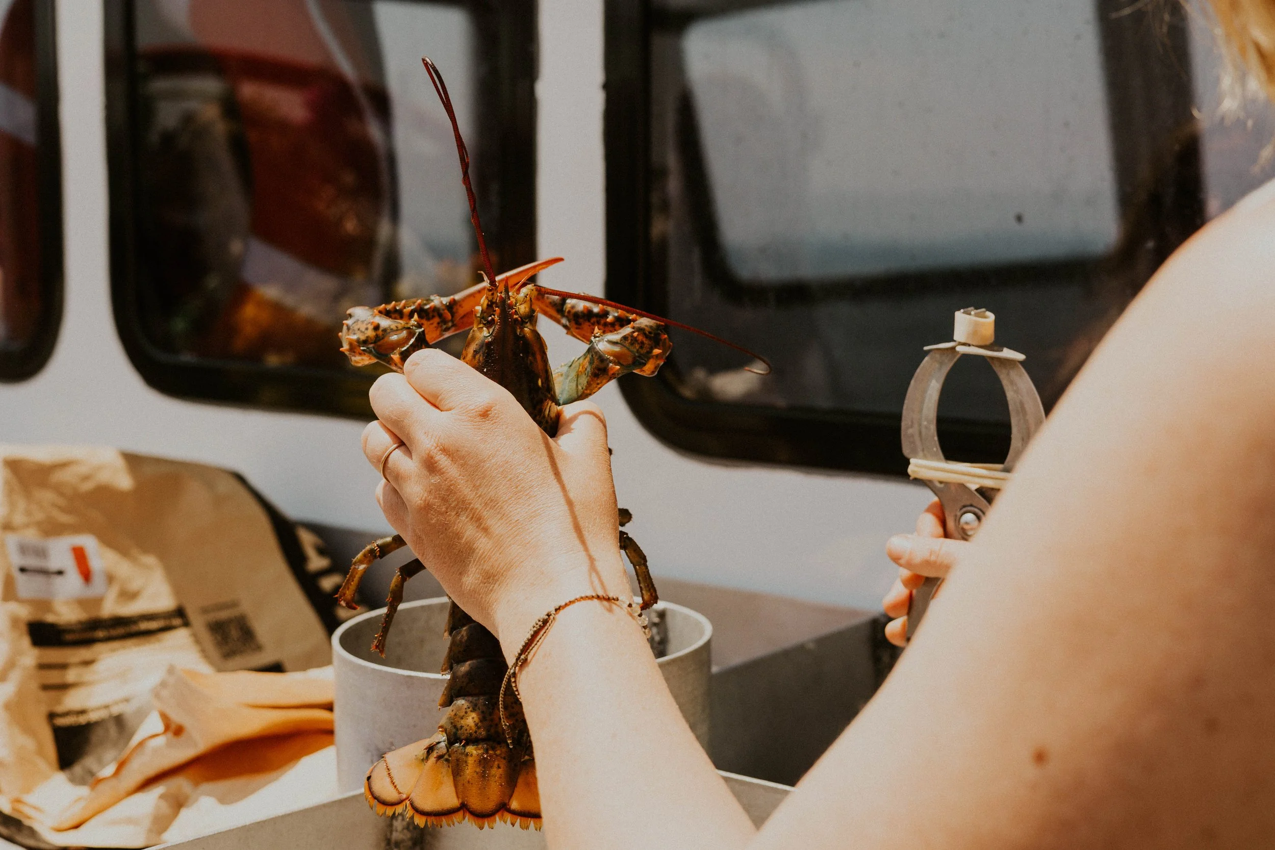 Detail shot of lobster being held in bride's hand