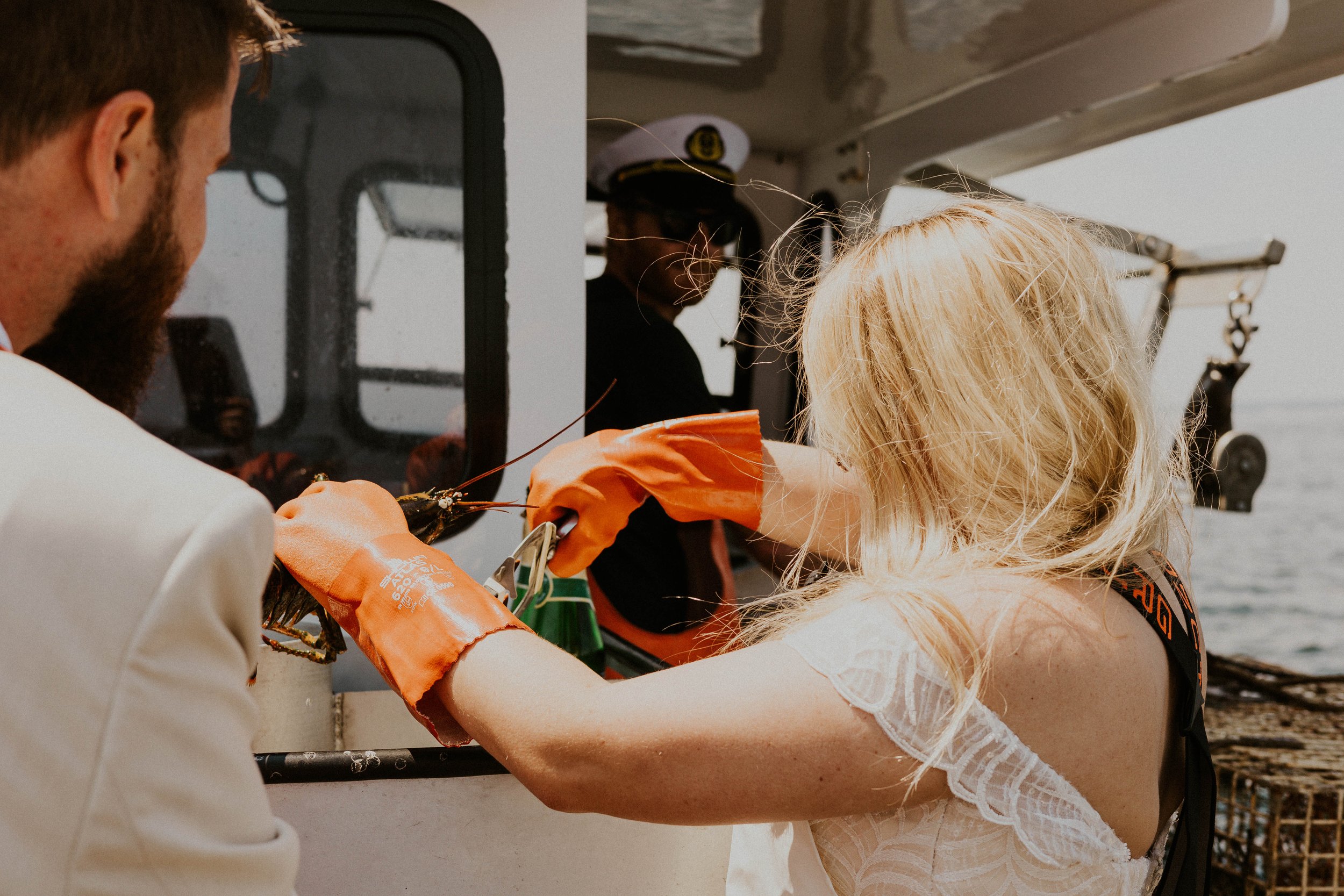 Bride banding lobsters