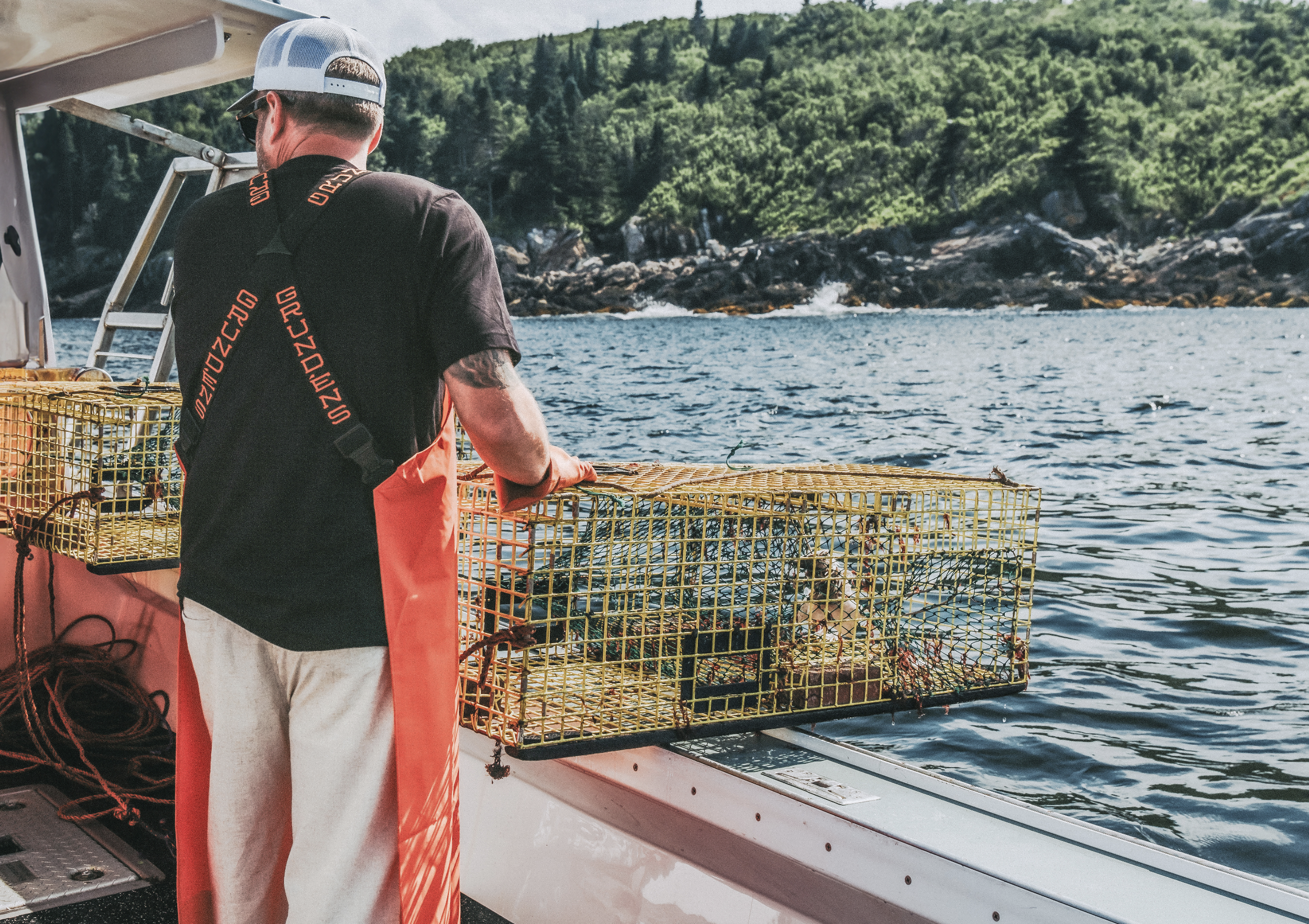 Screenshot 2026-02-04 at 12.26.11 PM.png