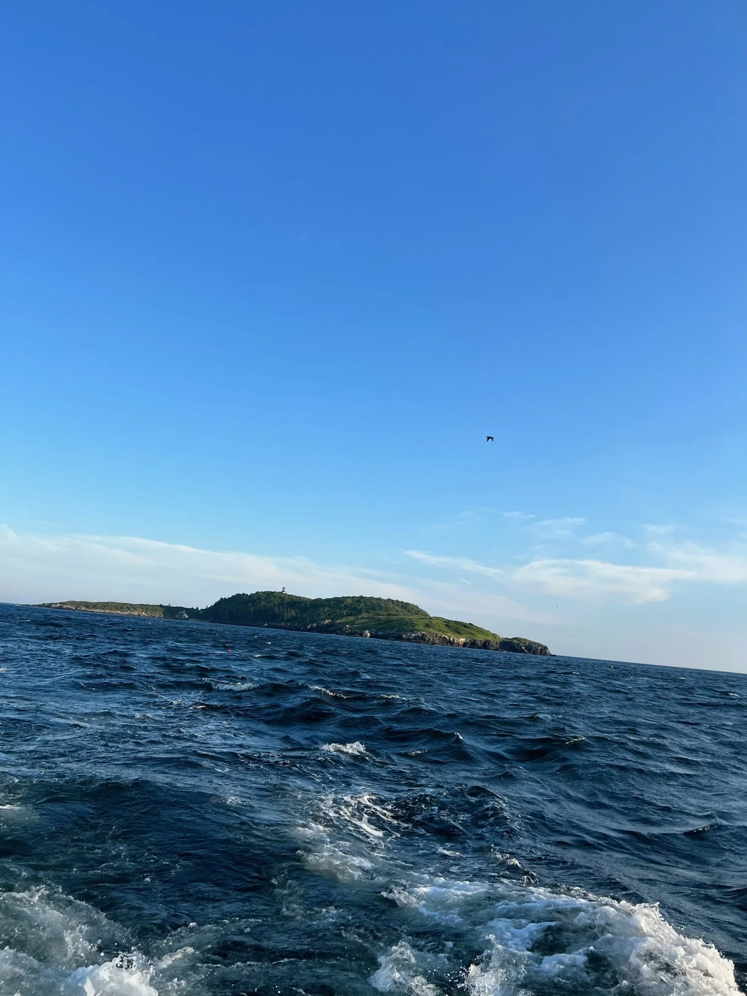 scenic boat elopement experience near Seguin Island