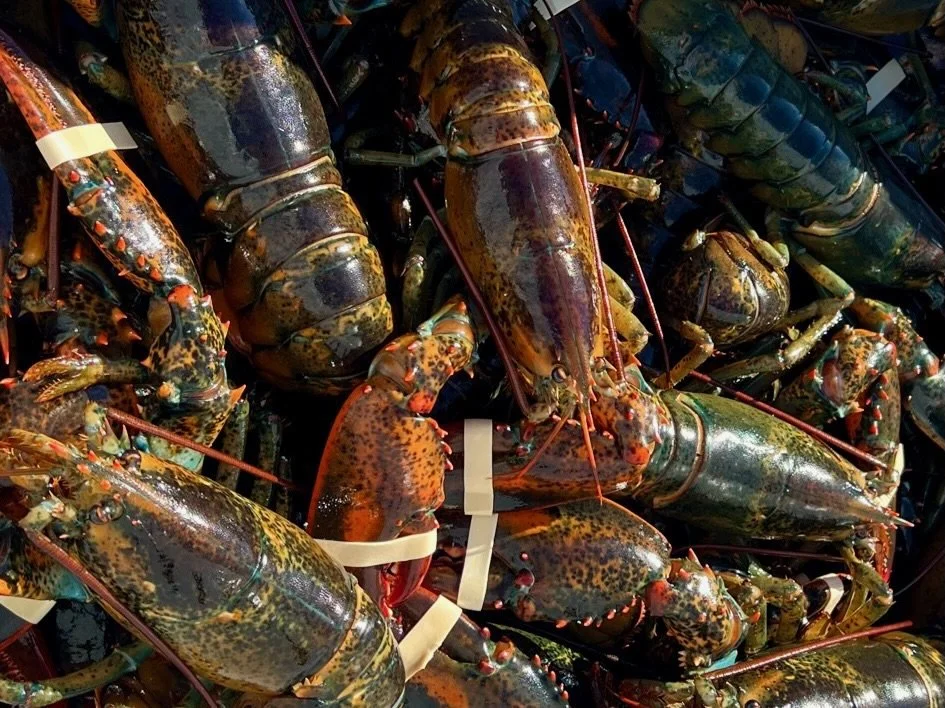 fresh lobster bake prepared on boat for wedding celebration