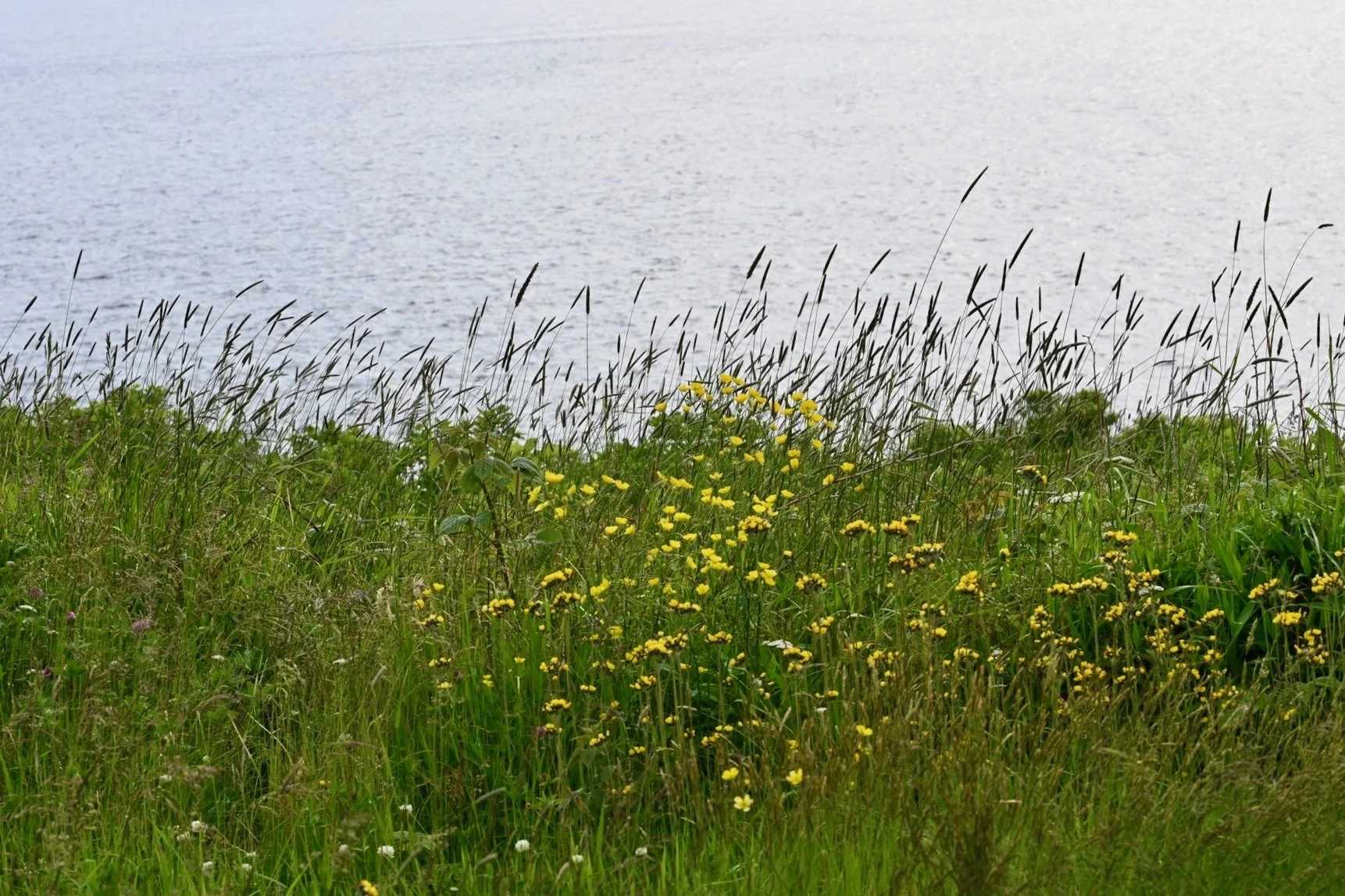 trails on seguin island