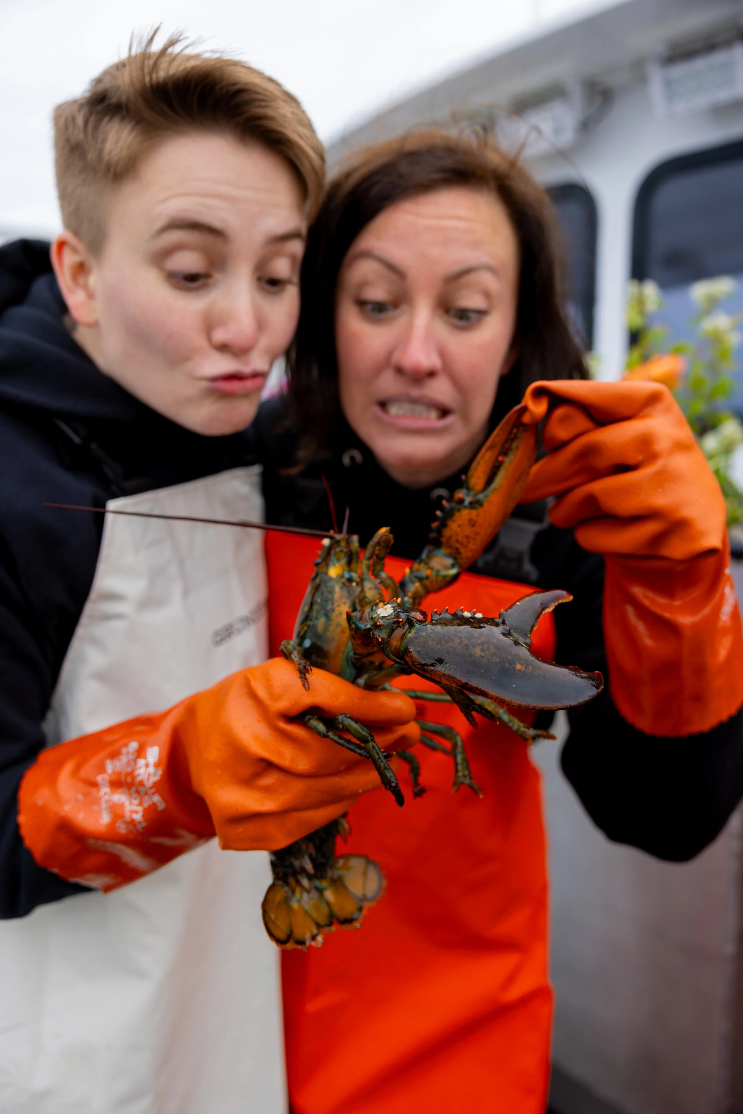 brides playing with lobster caught while hauling after elopement