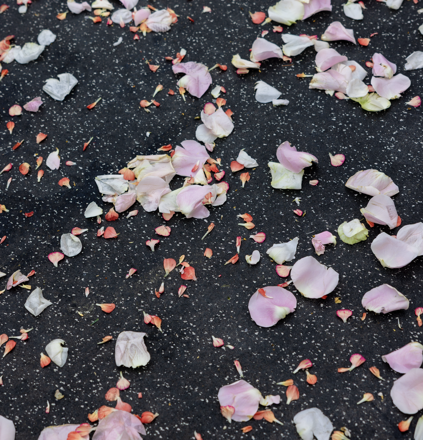 intimate ceremony petal toss on boat