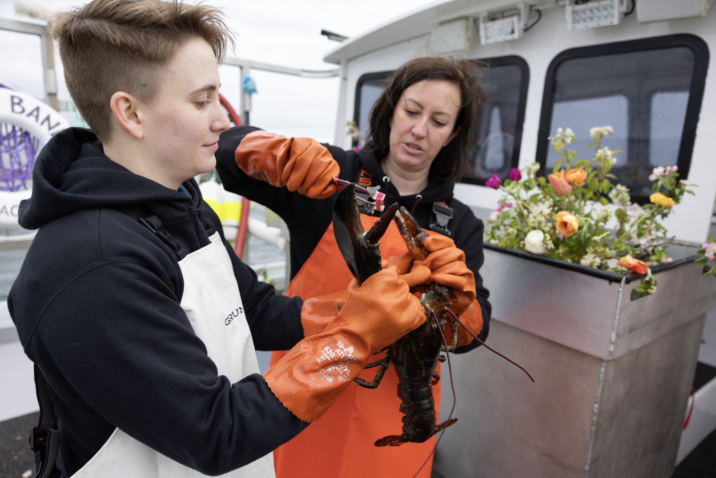 lobstering with brides in georgetown maine