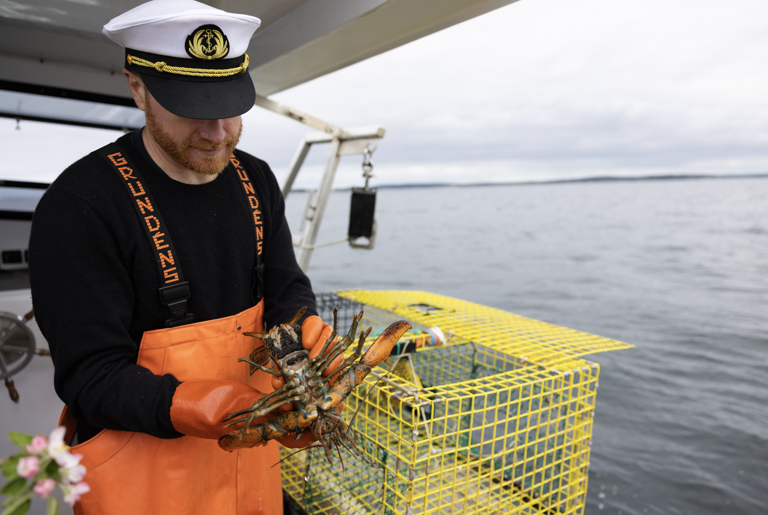 lobstering near georgetown maine during an adventure elopement