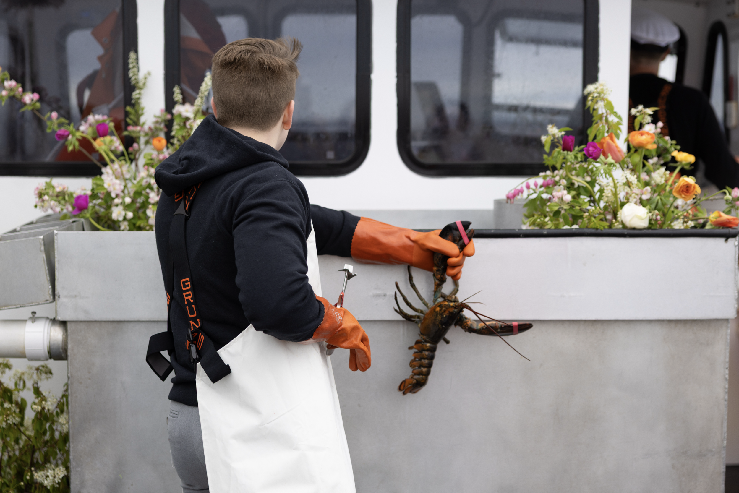banding lobsters after getting married