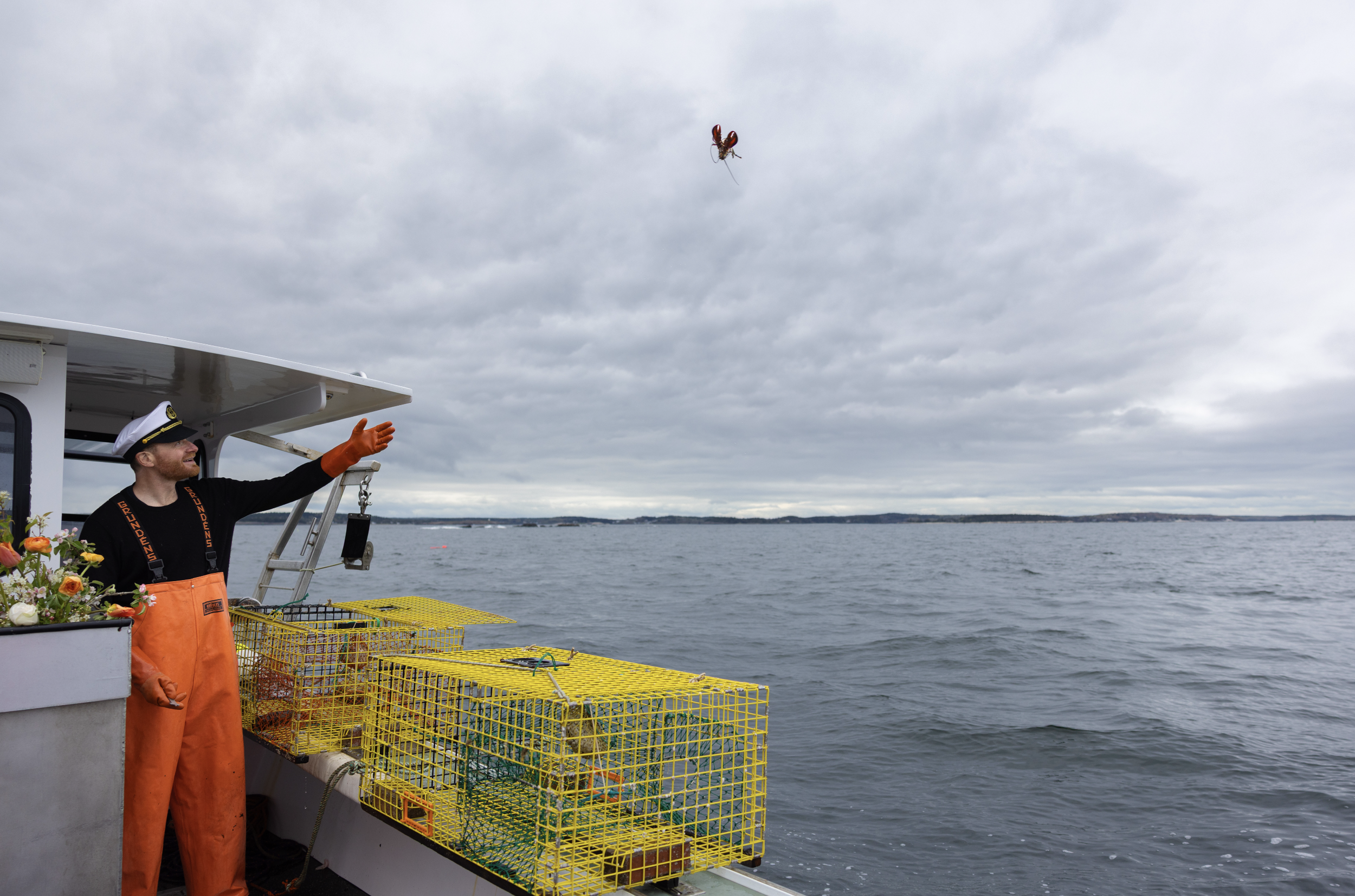 hauling for wedding lobster bake