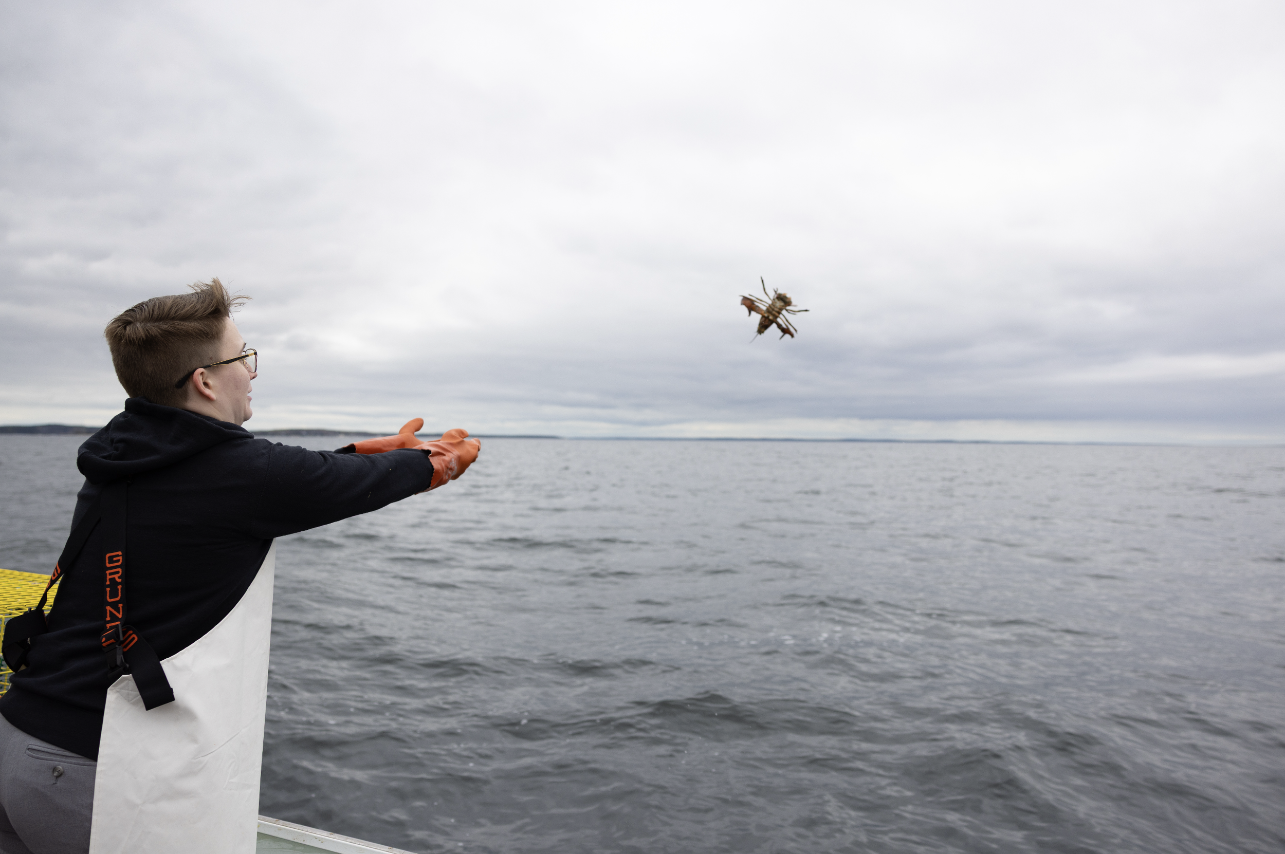 micro wedding lobster bake on boat in maine