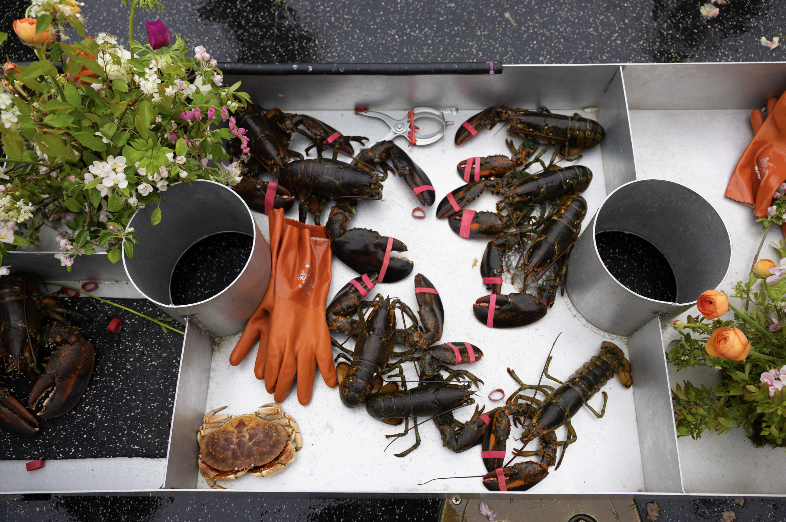 lobster bake on boat for mini wedding