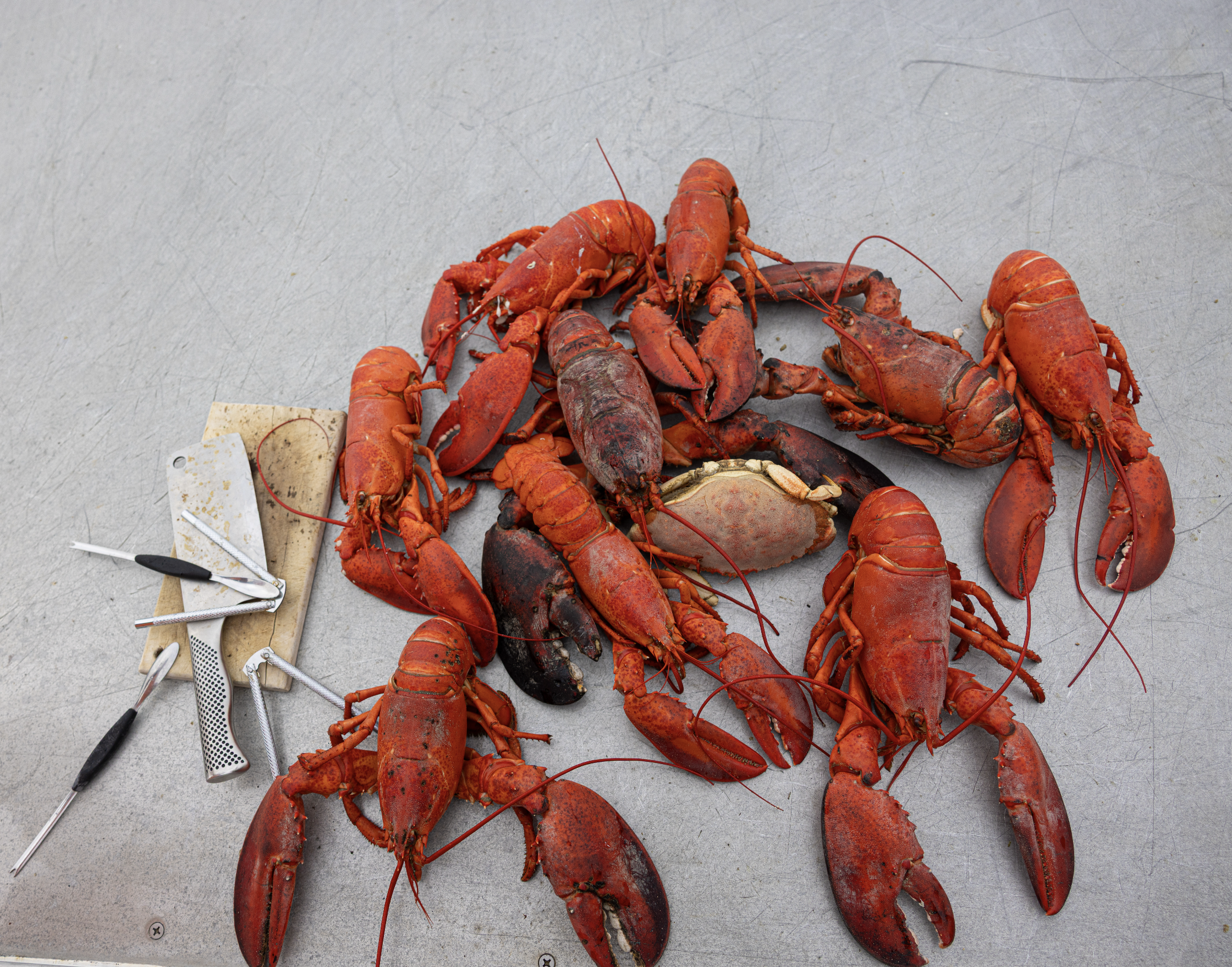 newly married couple eating fresh lobster on boat in midcoast Maine