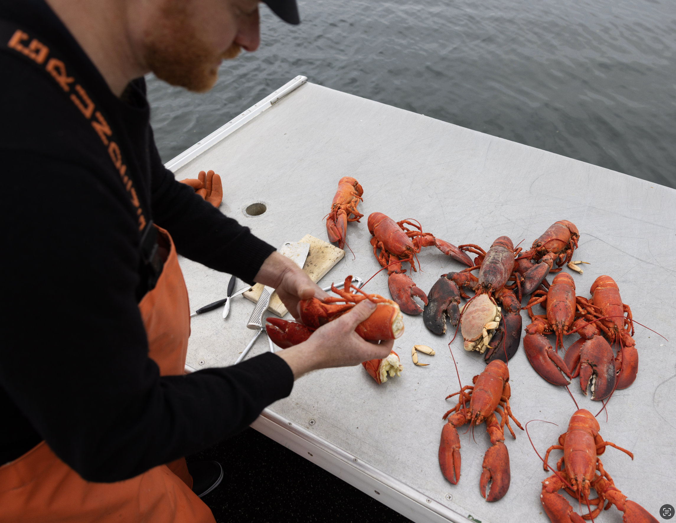bride and bride cracking lobster on boat in Maine coastal waters