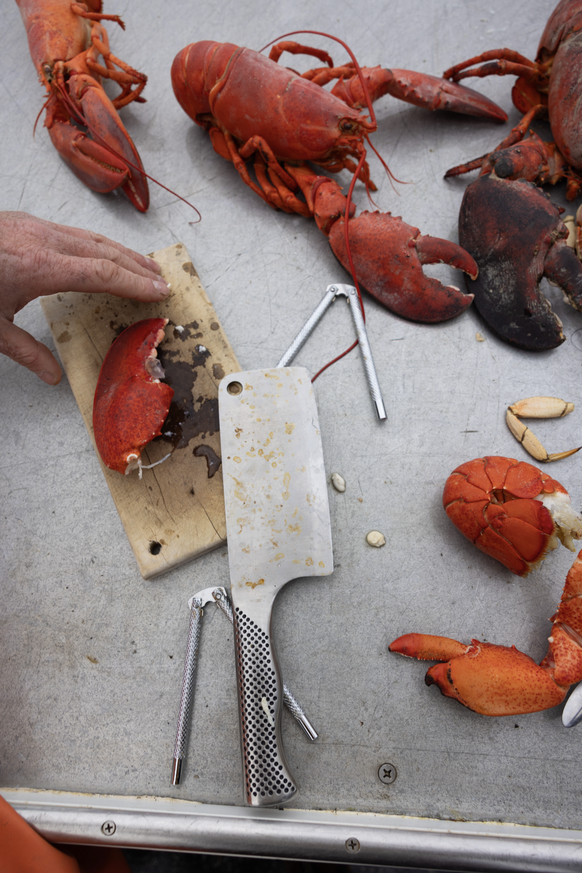 bride and groom eating lobster together on boat after seaside ceremony