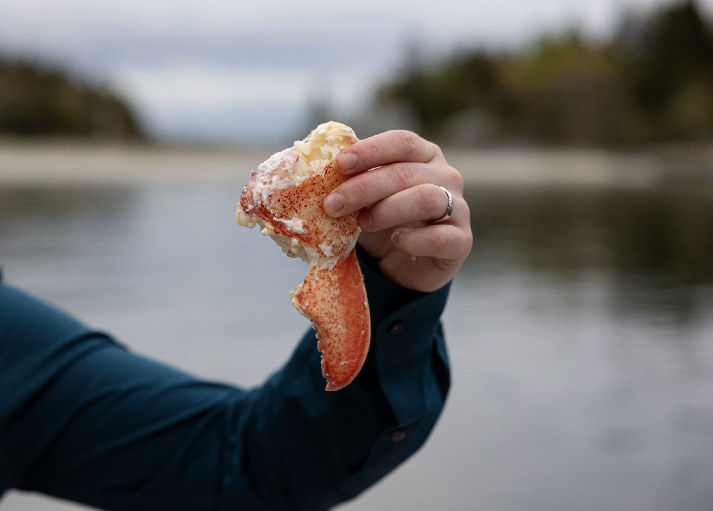 just married couple eating freshly hauled lobster on boat in Maine
