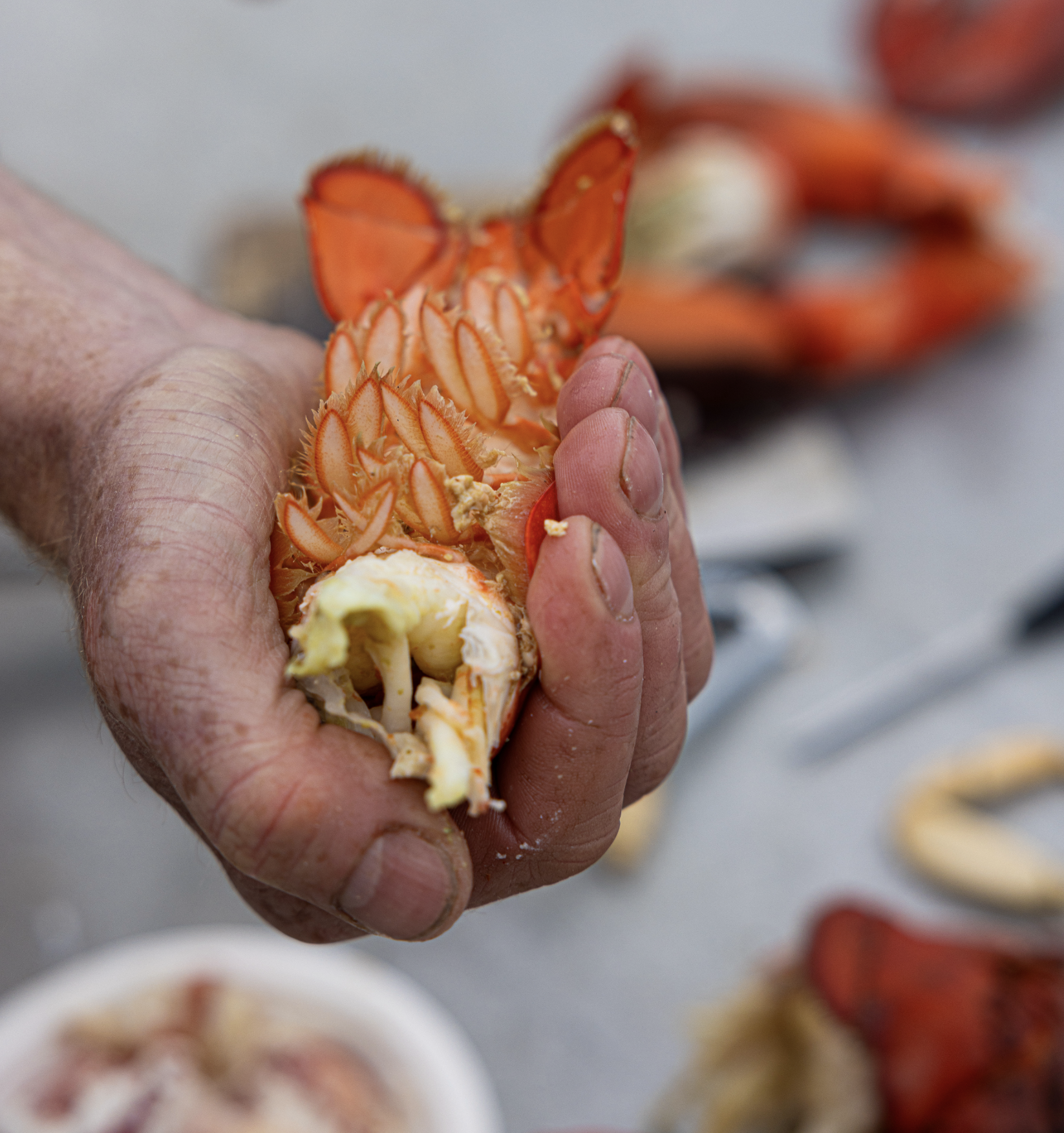 couple enjoying lobster dinner on boat in cool spring Maine waters