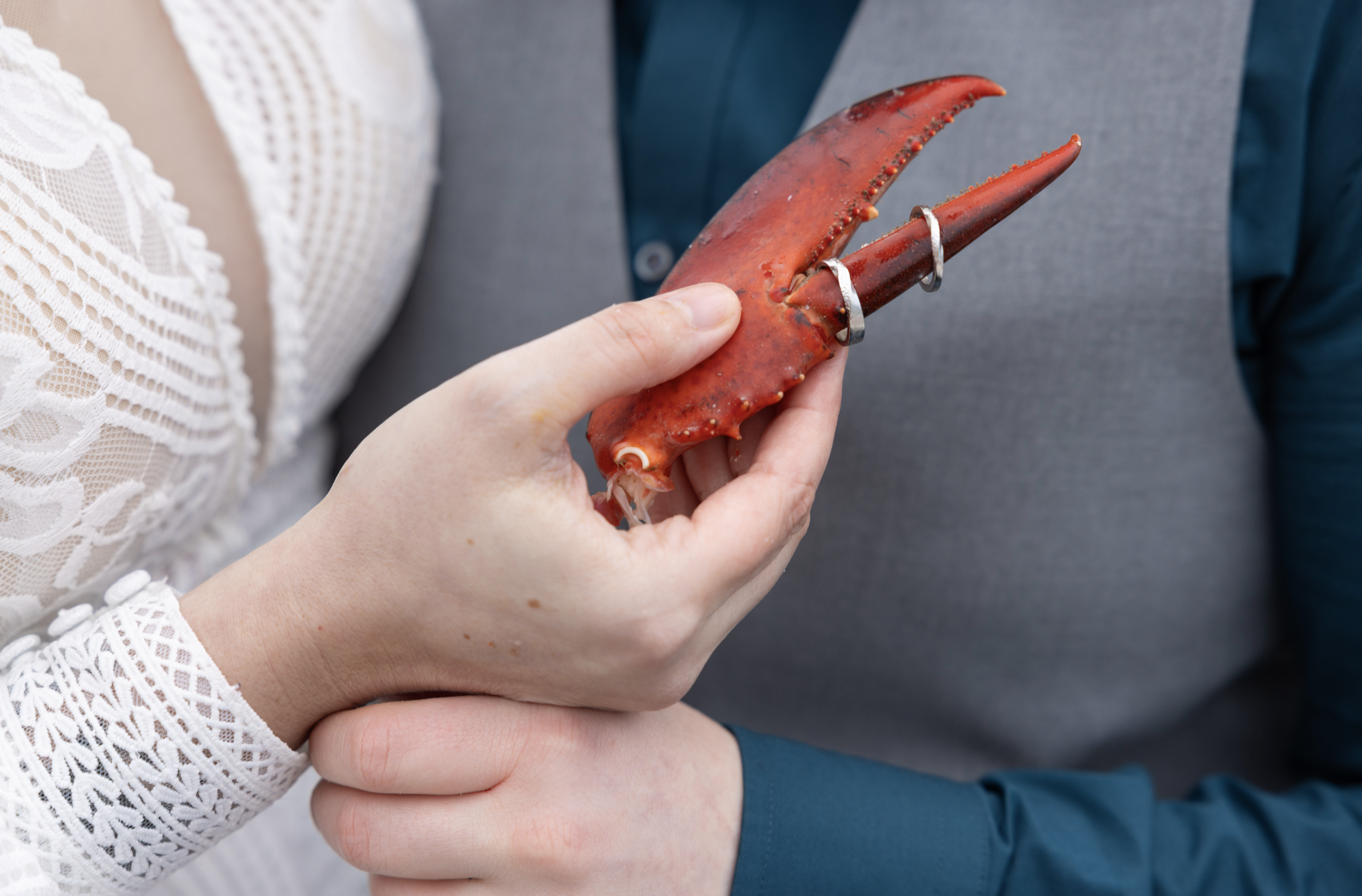 coastal Maine elopement followed by lobster bake on the boat