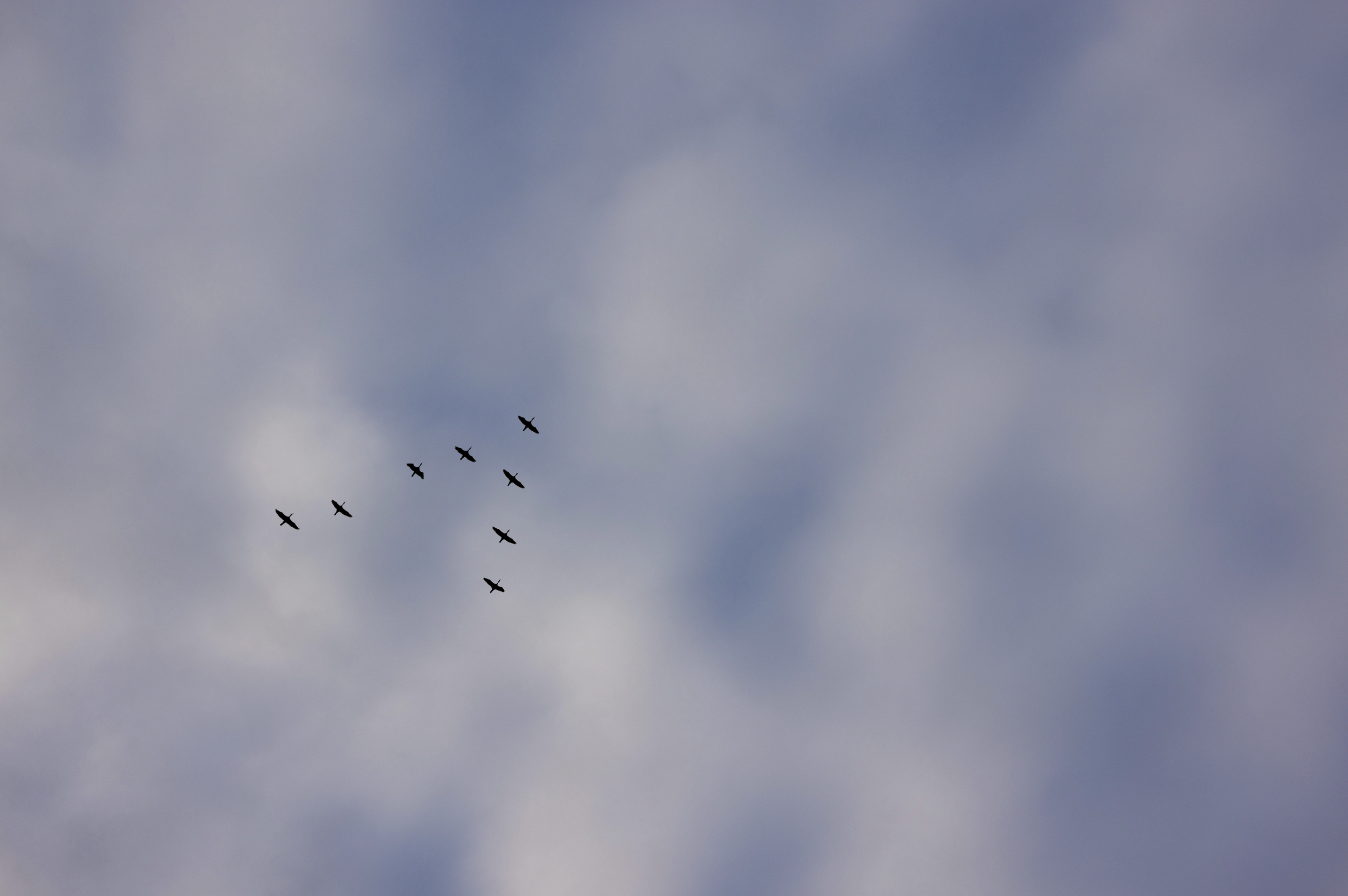 Screenshot 2026-03-31 at 8.13.02 PM.png