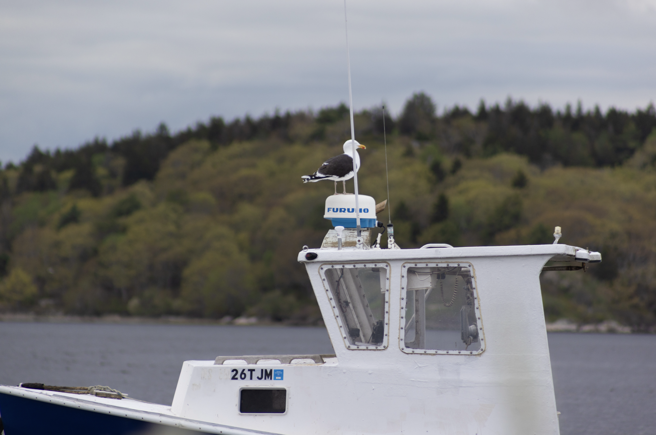 Screenshot 2026-03-31 at 8.13.33 PM.png