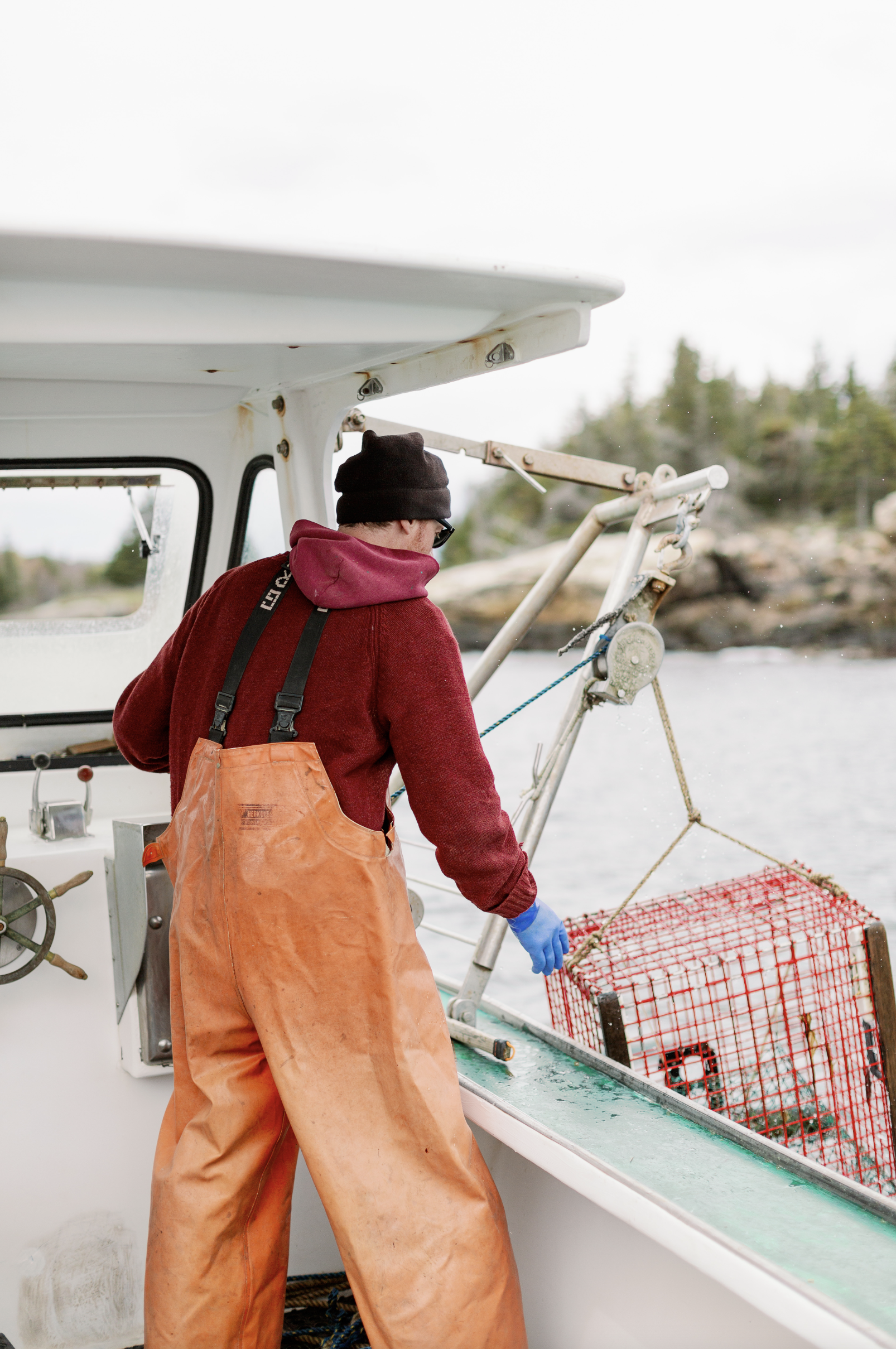 Screen Shot 2022-10-26 at 11.50.56 AM.png