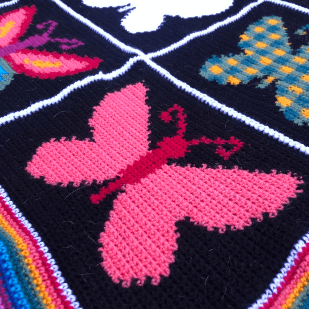 mariposa keli tiny.png