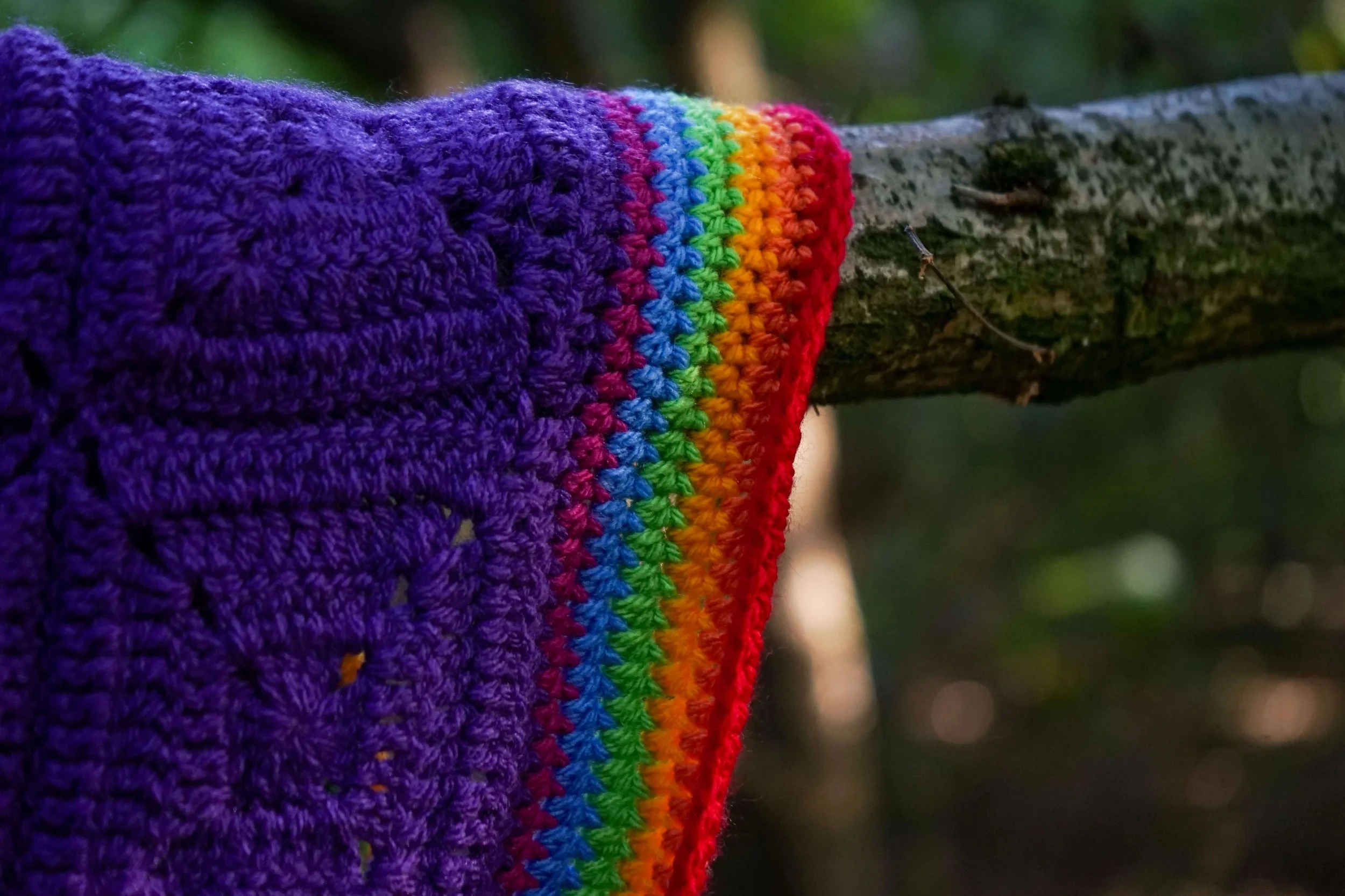 rainbow border tiny.jpeg