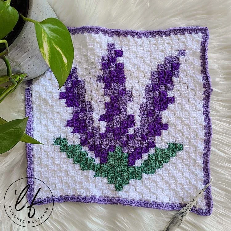loop hole fox lavender square.jpg