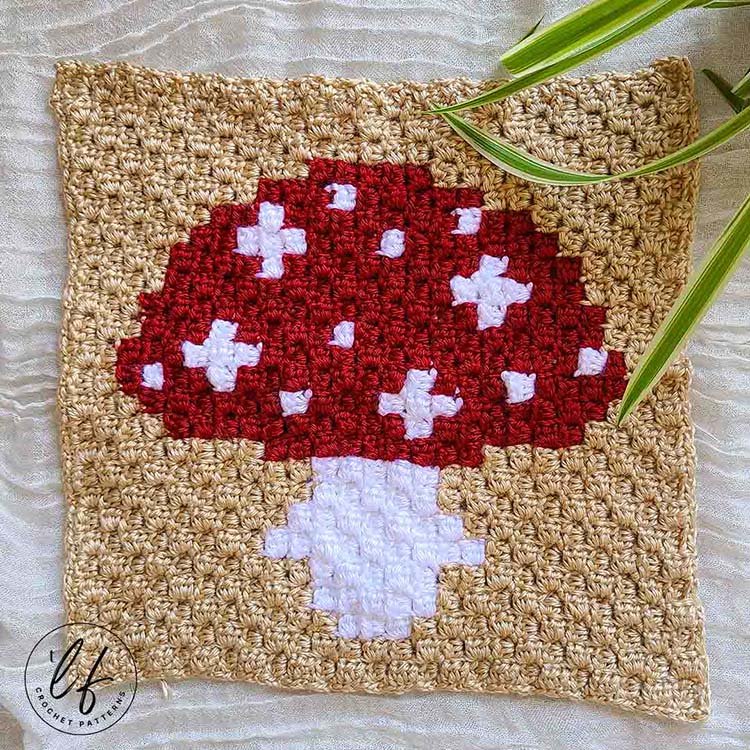 loop hole fox toadstool square.jpg
