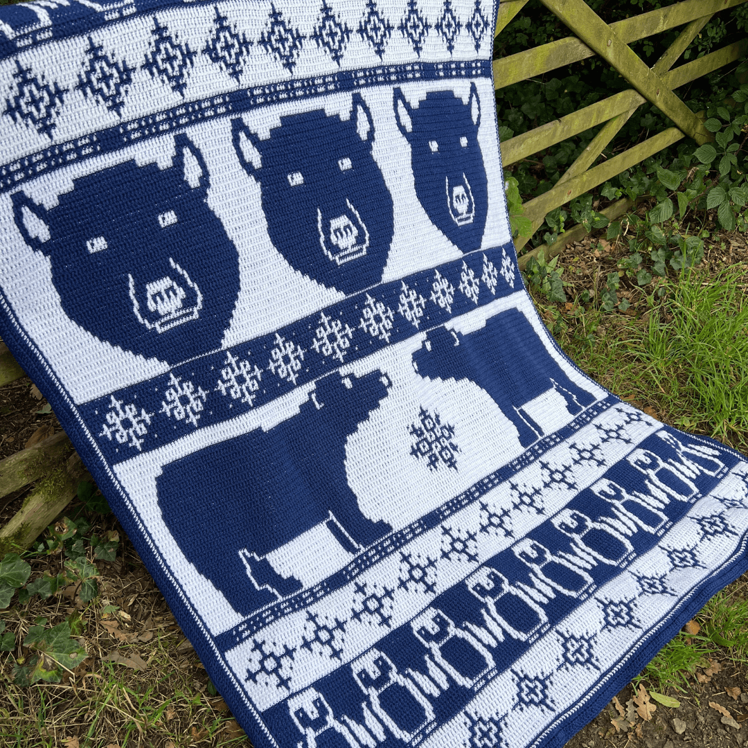 Pole to pole blanket 2 square tiny.png