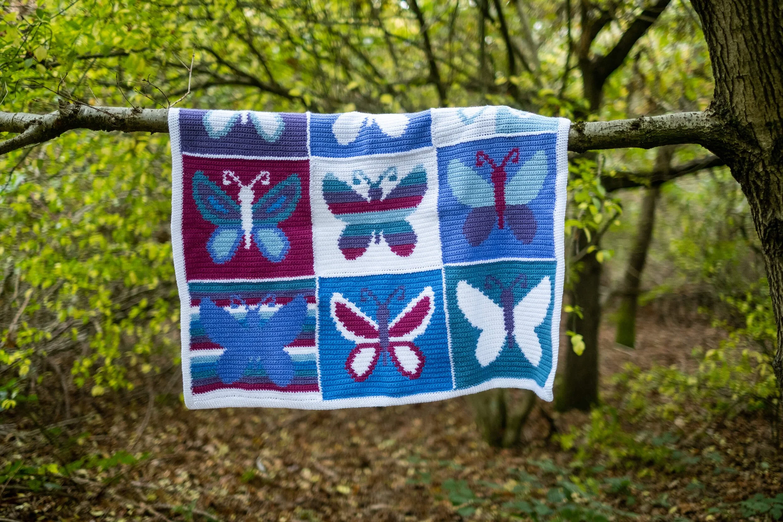Butterfly small.jpg