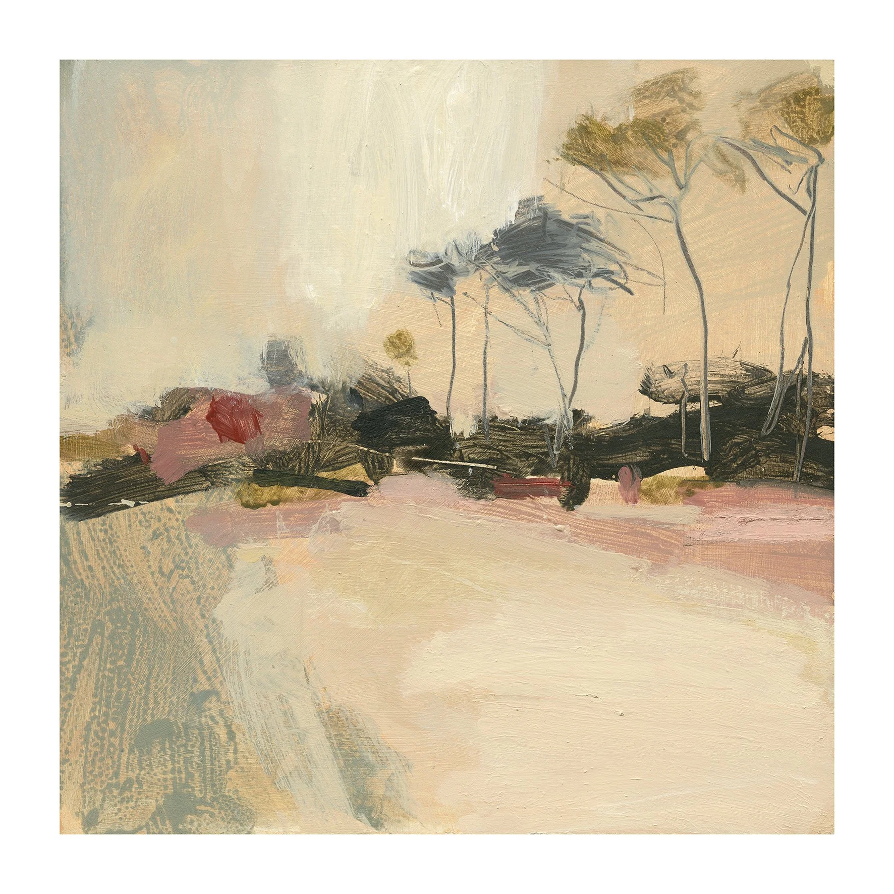Trees above Trebah 2 450x450.JPG