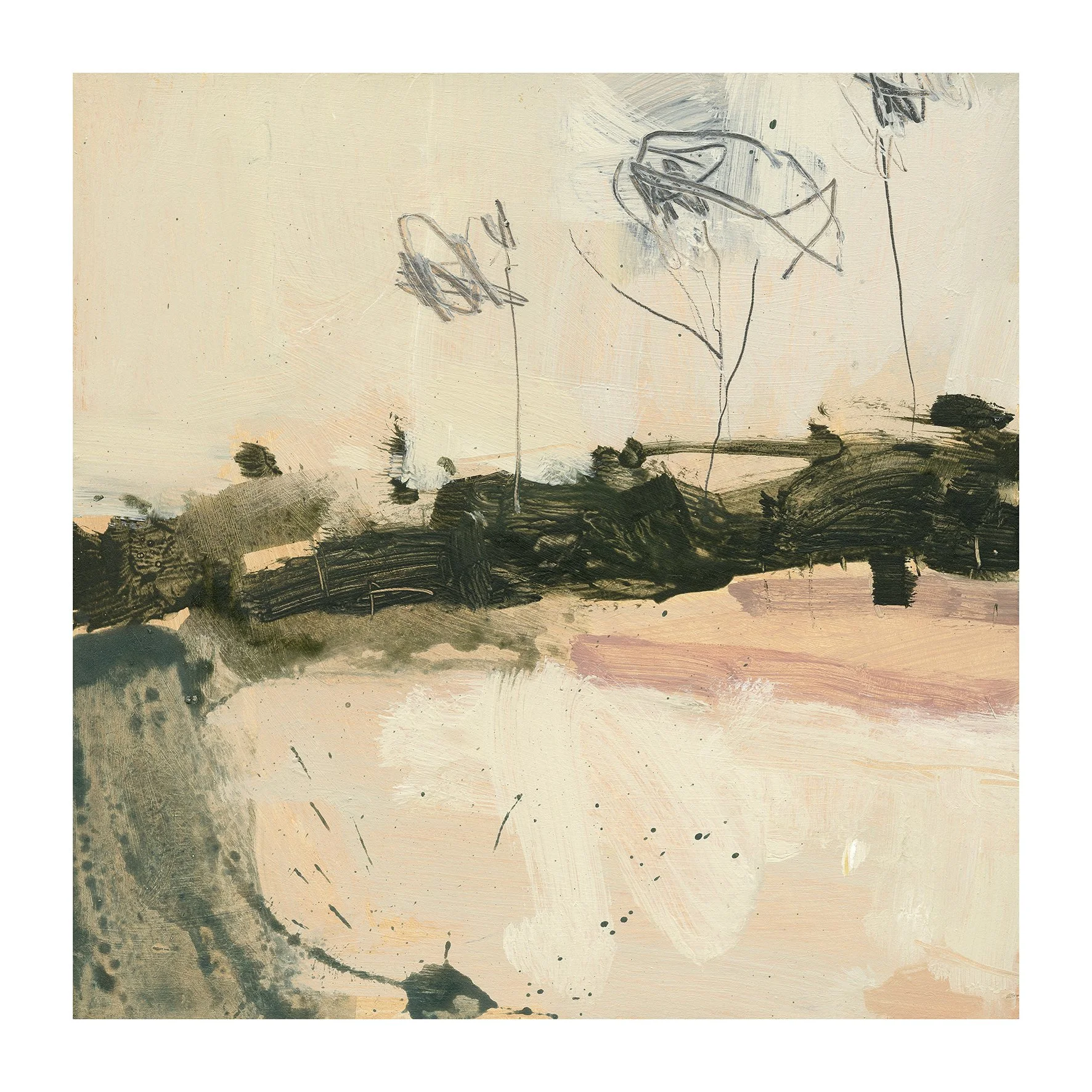 Trees and white sand trebah 1 450x450.JPG