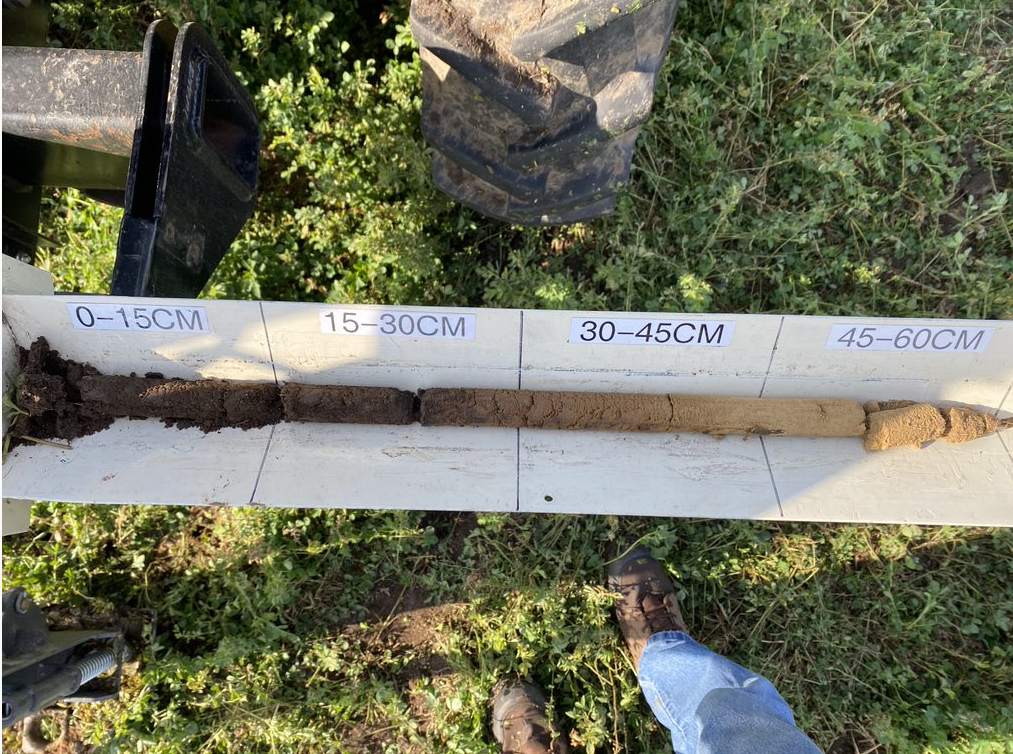 corescan samples.PNG