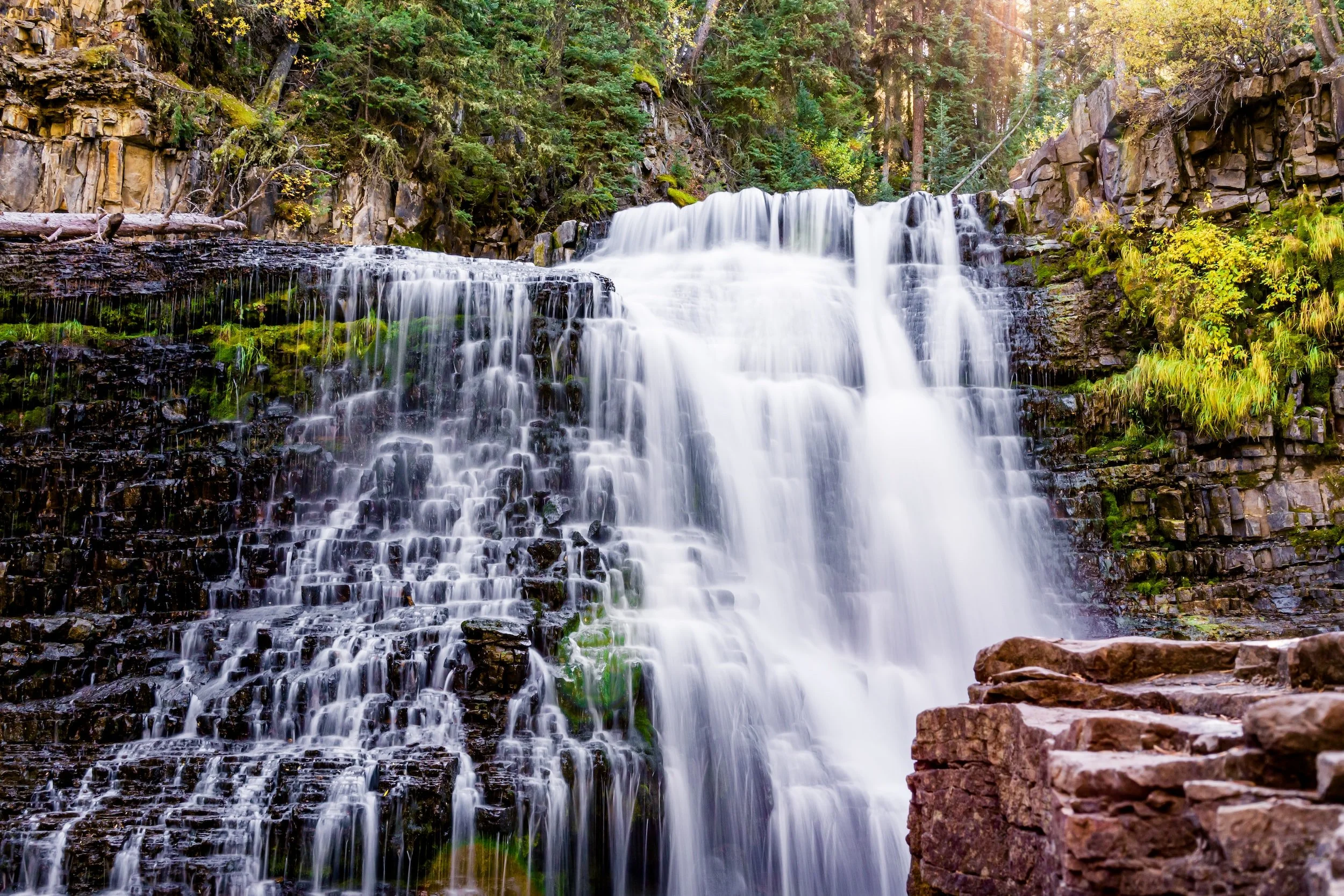 unsplash-image-dTcWYtI_kwo.jpg