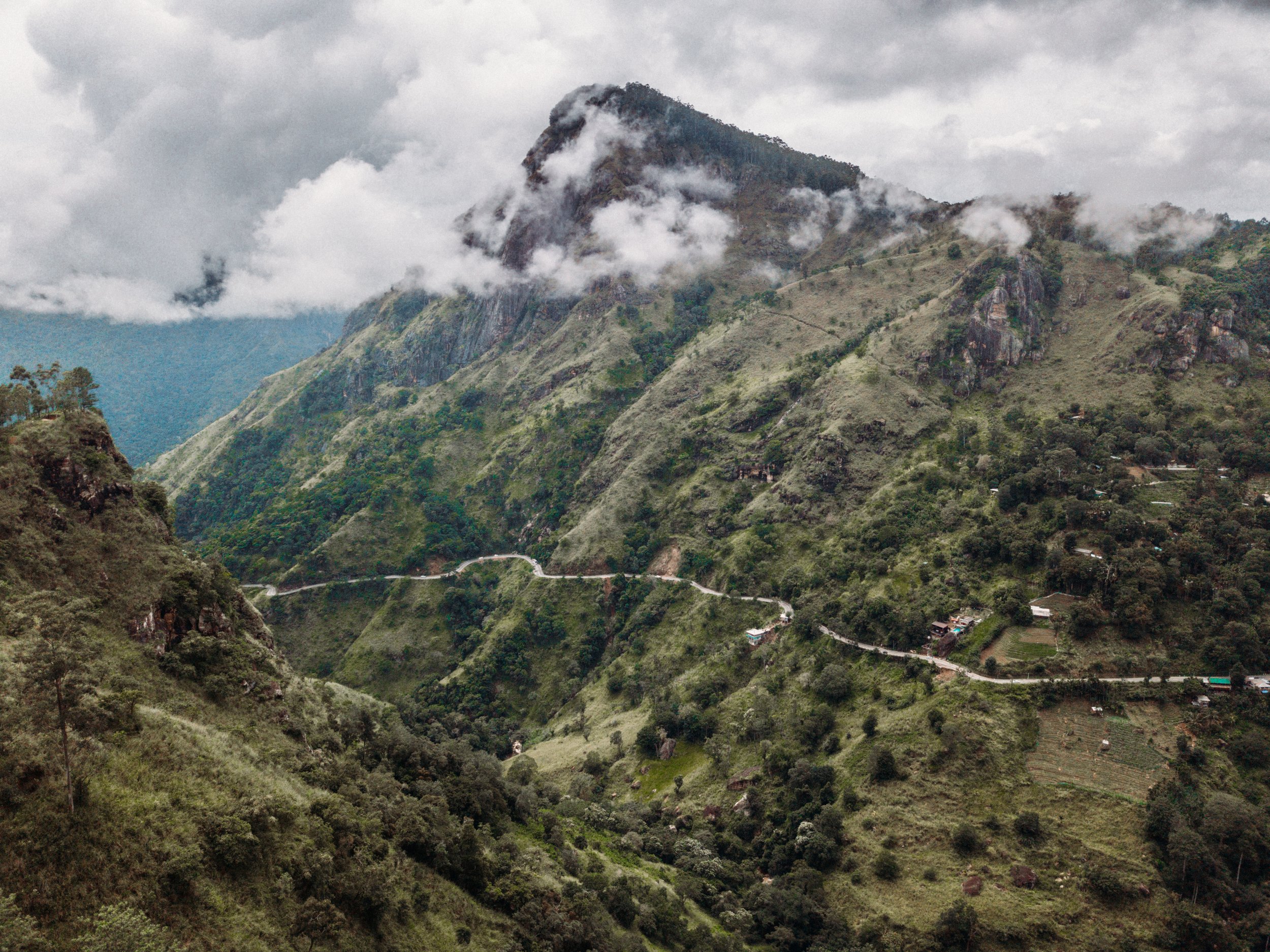 DJI_0784.jpg