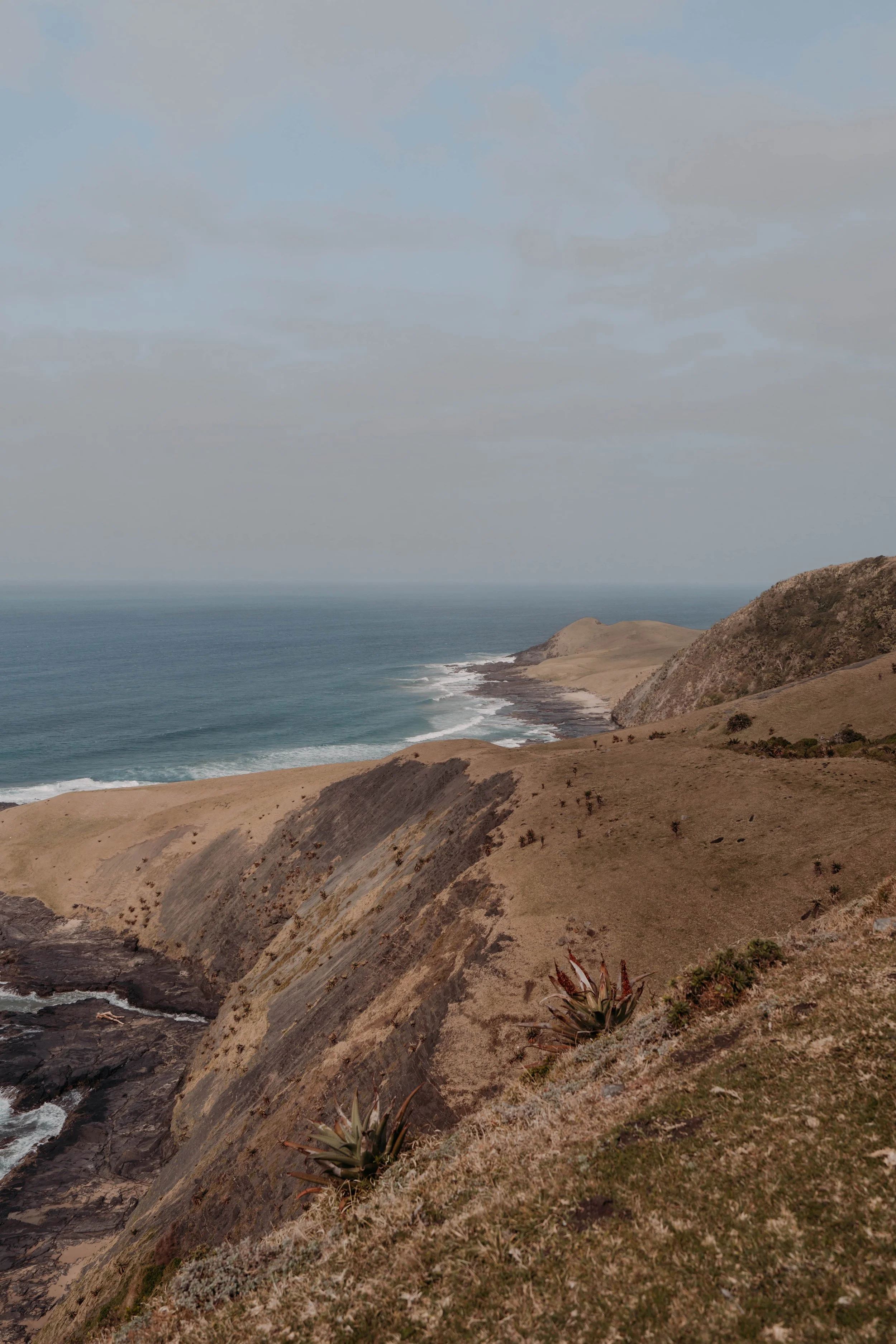LK_06633.jpg