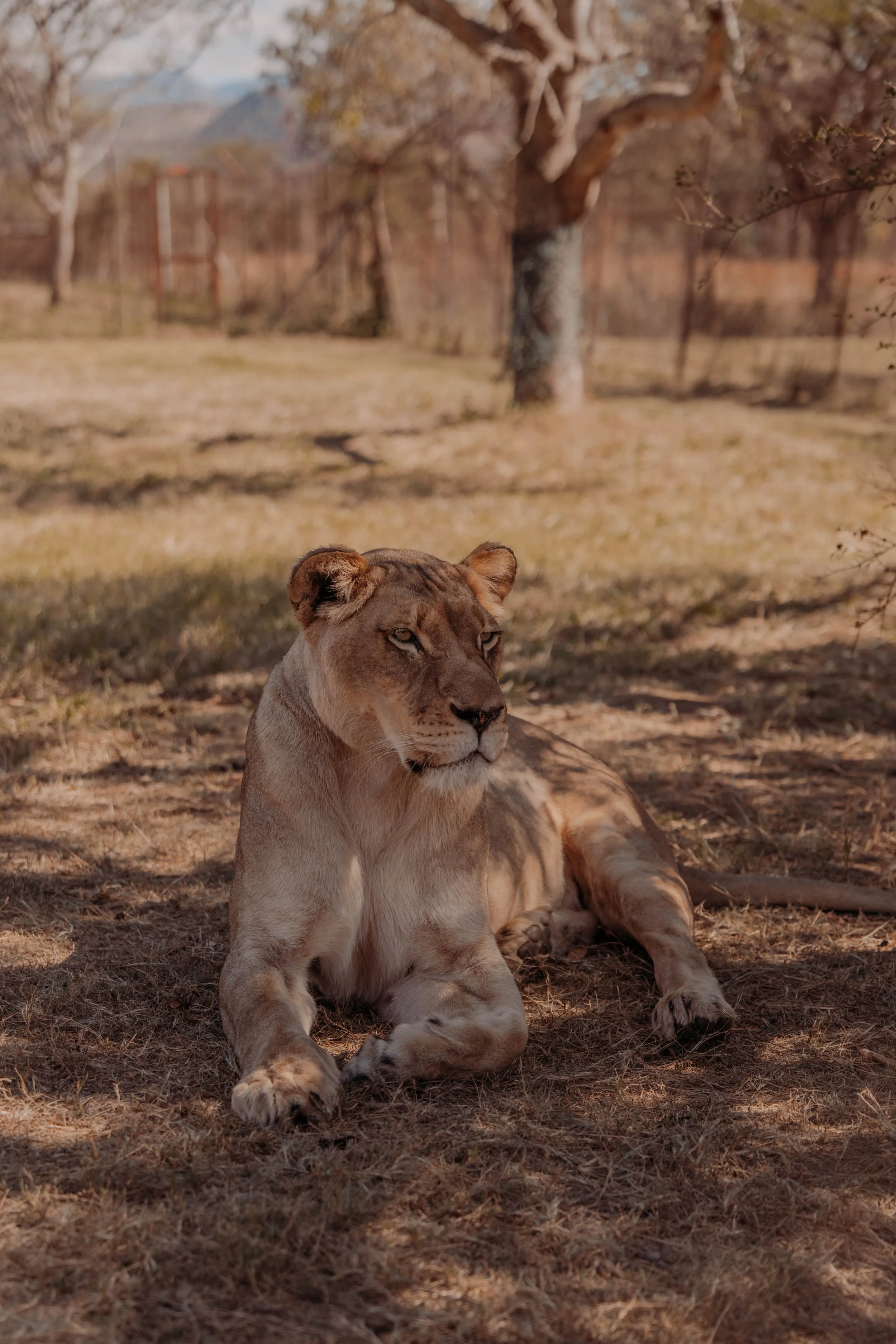 LK_05381.jpg