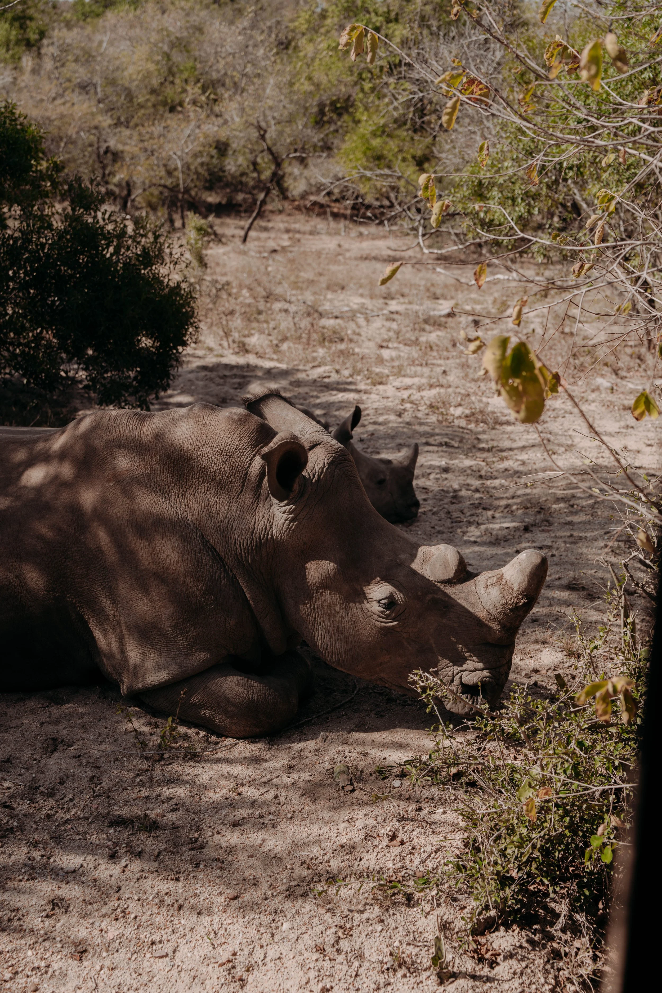 LK_05145.jpg