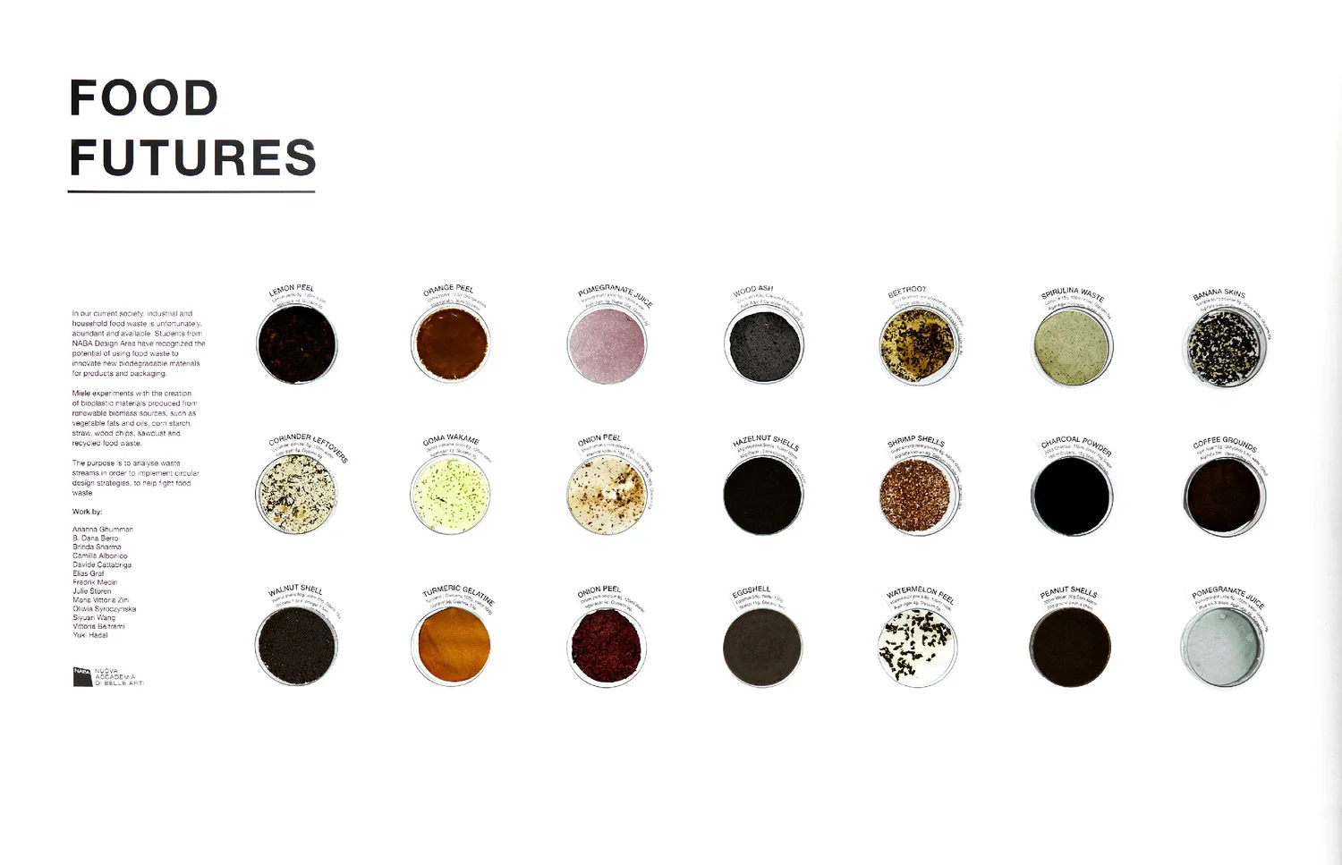 Longevity Lab — TDFK