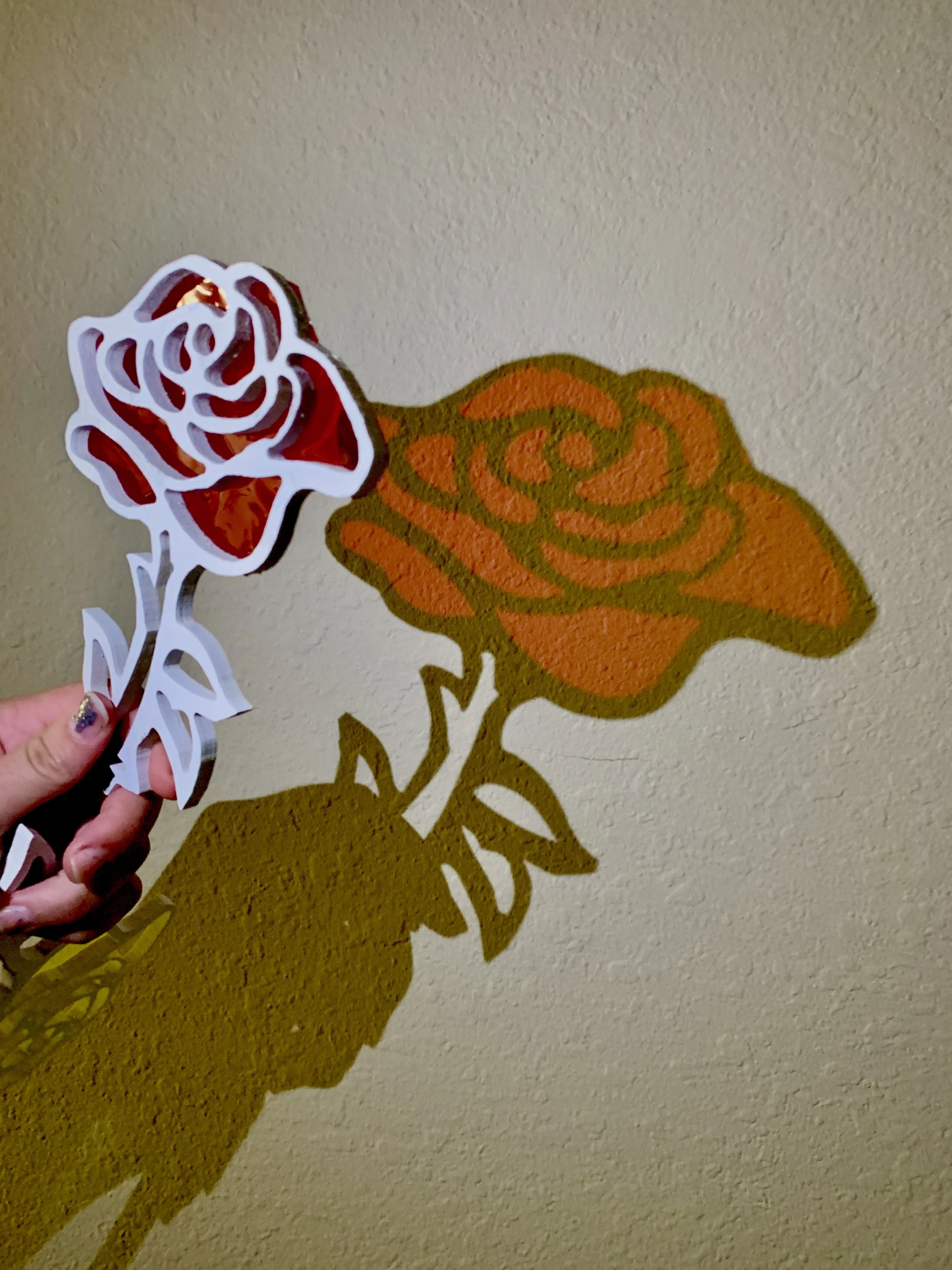 rose ow (3).JPG
