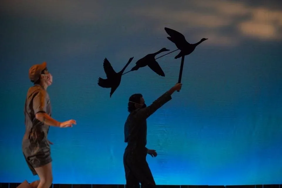 Geese+Squad+Flying+Away+Shadow+Puppet+for+Honk.webp