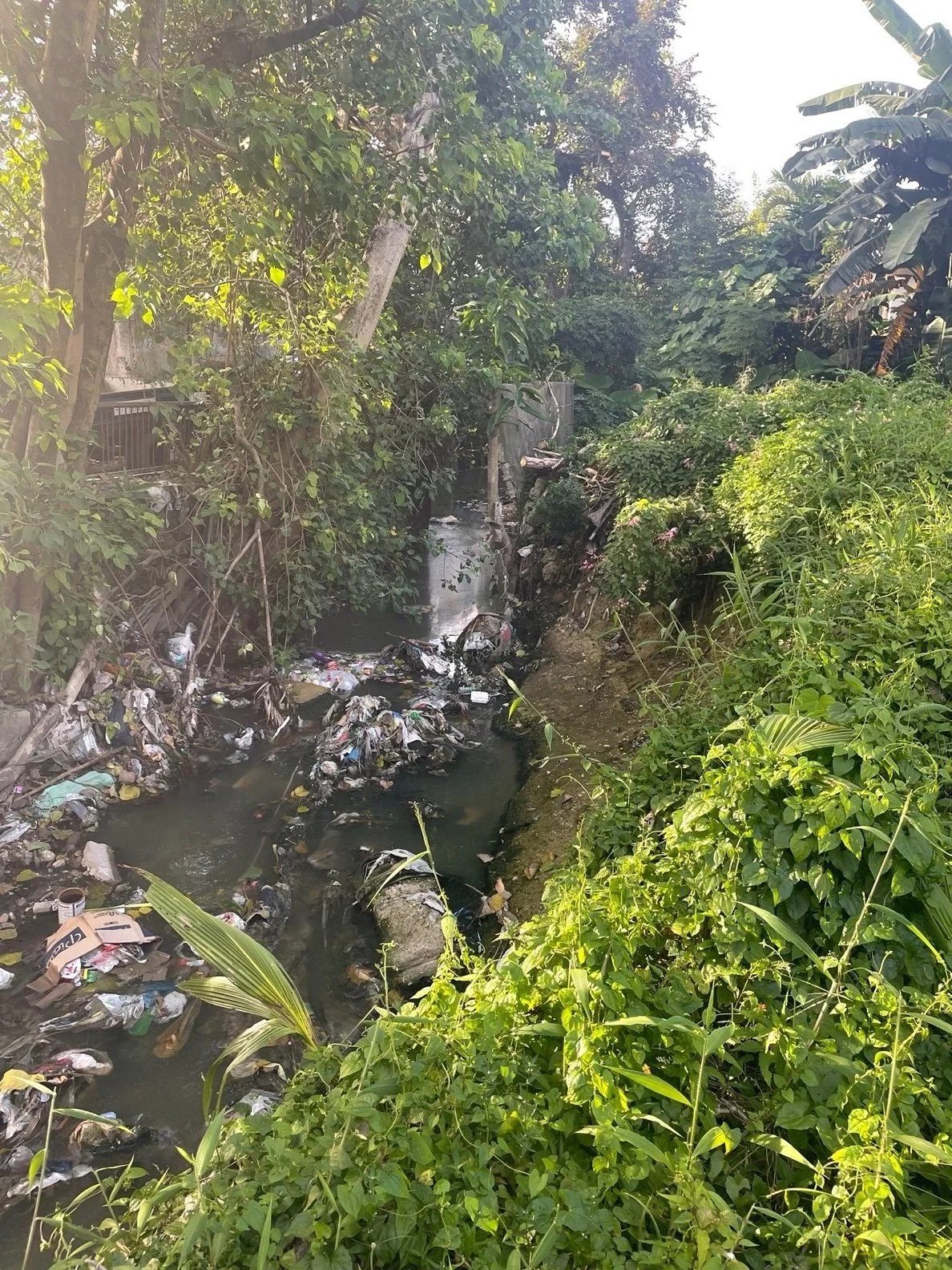 trash+in+river.jpg