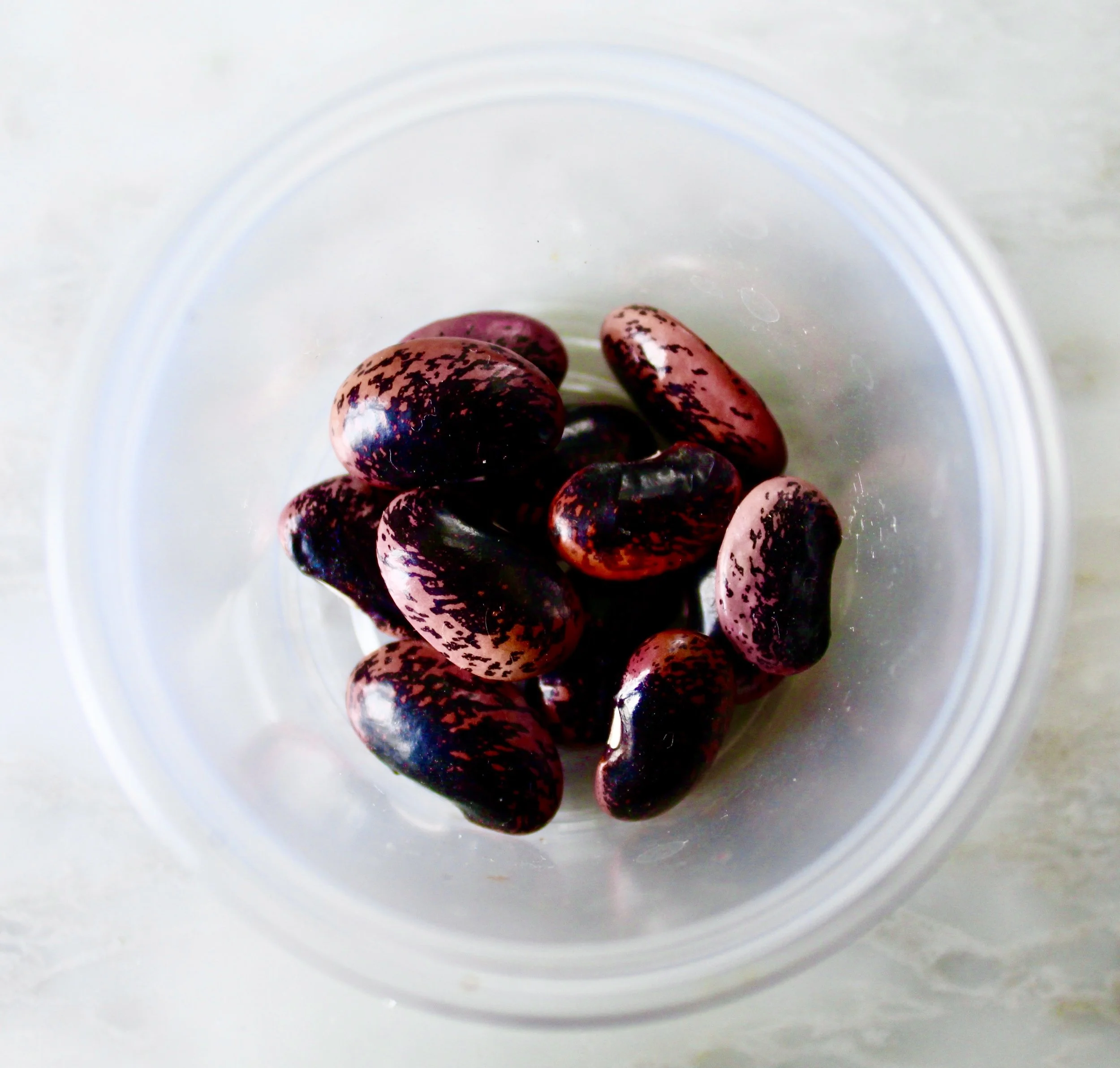 Food Forest Starter Kit