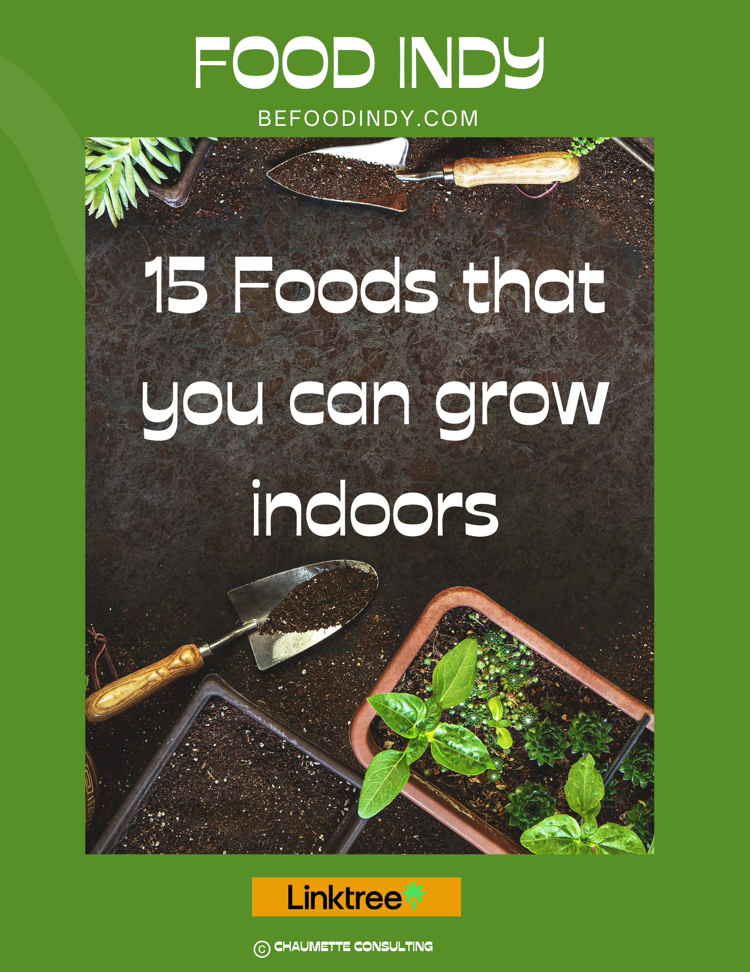 FREE - 15 Foods that You can Grow Indoors