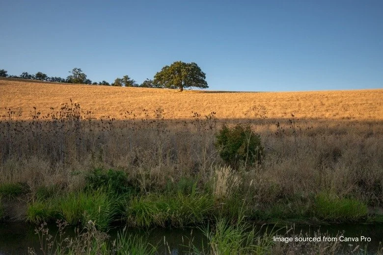 Medford, OR home care