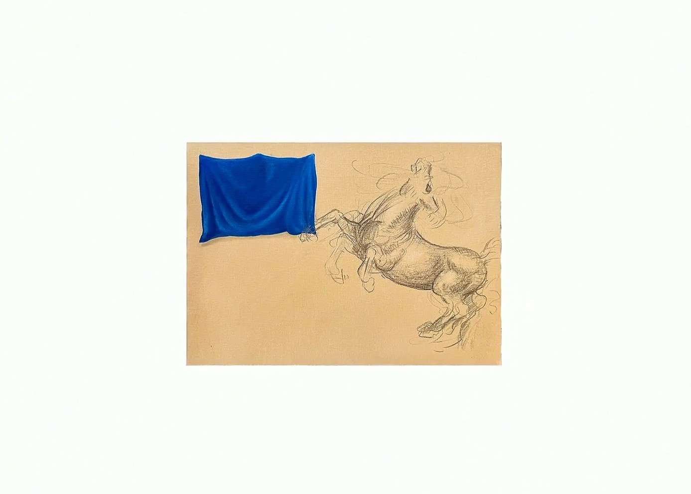 blue, horse | 2026 | 12 x 16 in | oil and graphite on linen