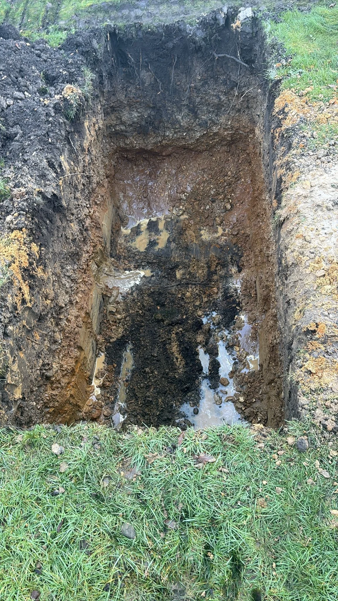 WhatsApp Image 2026-01-20 at 12.13.02 (3).jpeg