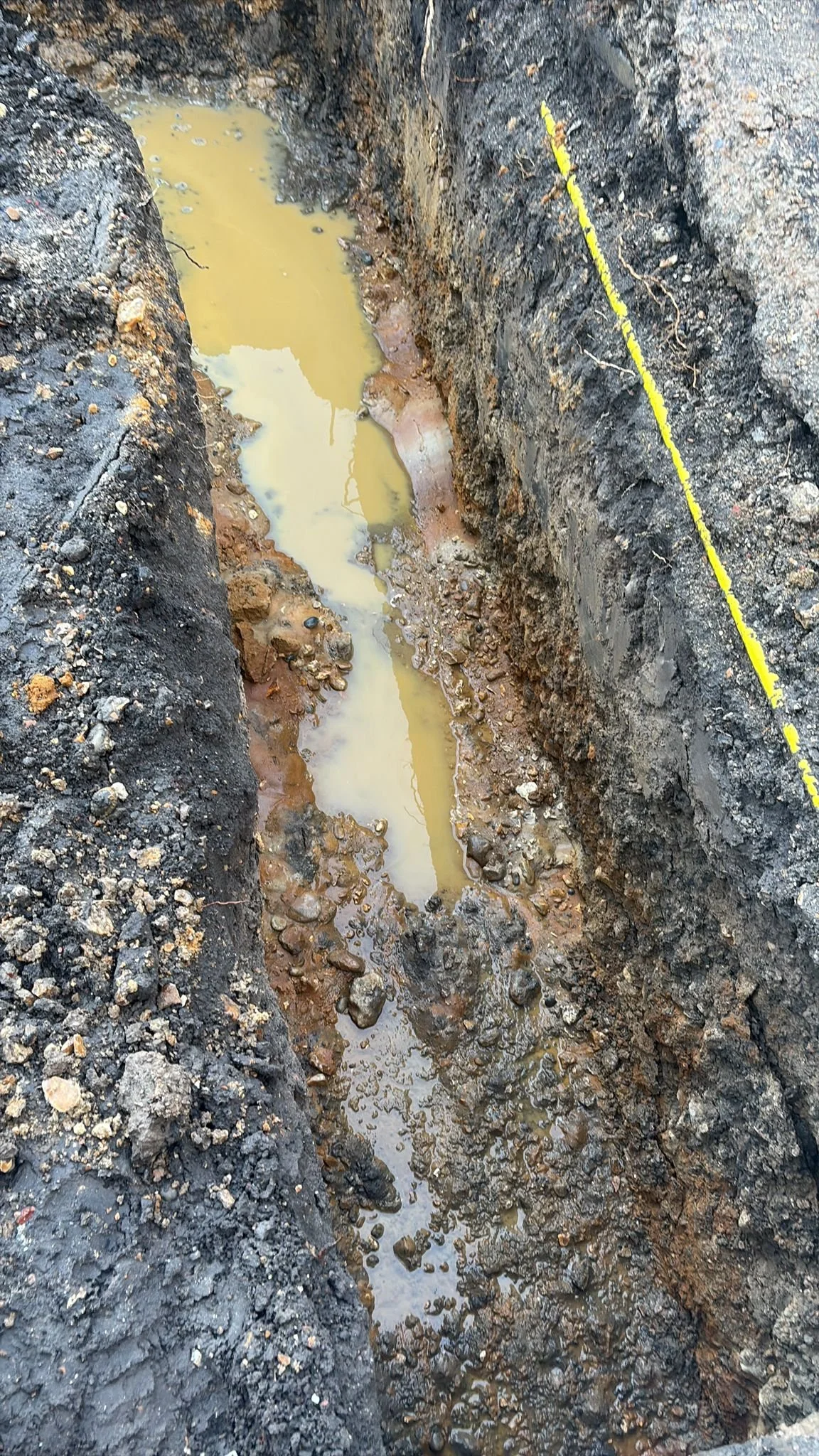 WhatsApp Image 2026-01-20 at 12.13.02.jpeg