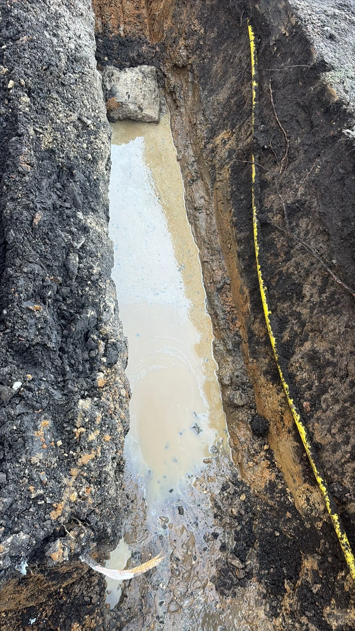 WhatsApp Image 2026-01-20 at 12.13.02 (1).jpeg