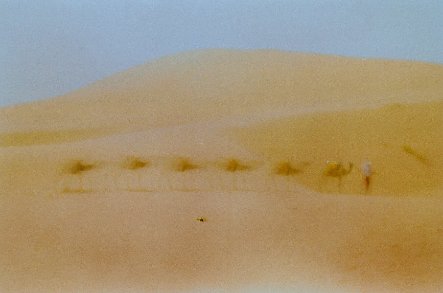 38680009.jpg